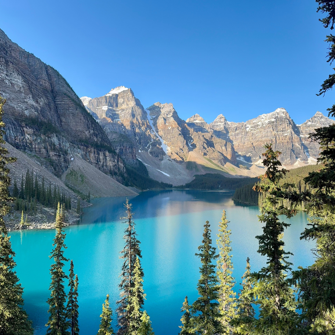 A scenic view of a bright blue lake surrounded by tall green pine trees and majestic snow-capped mountains in the background under a clear blue sky.