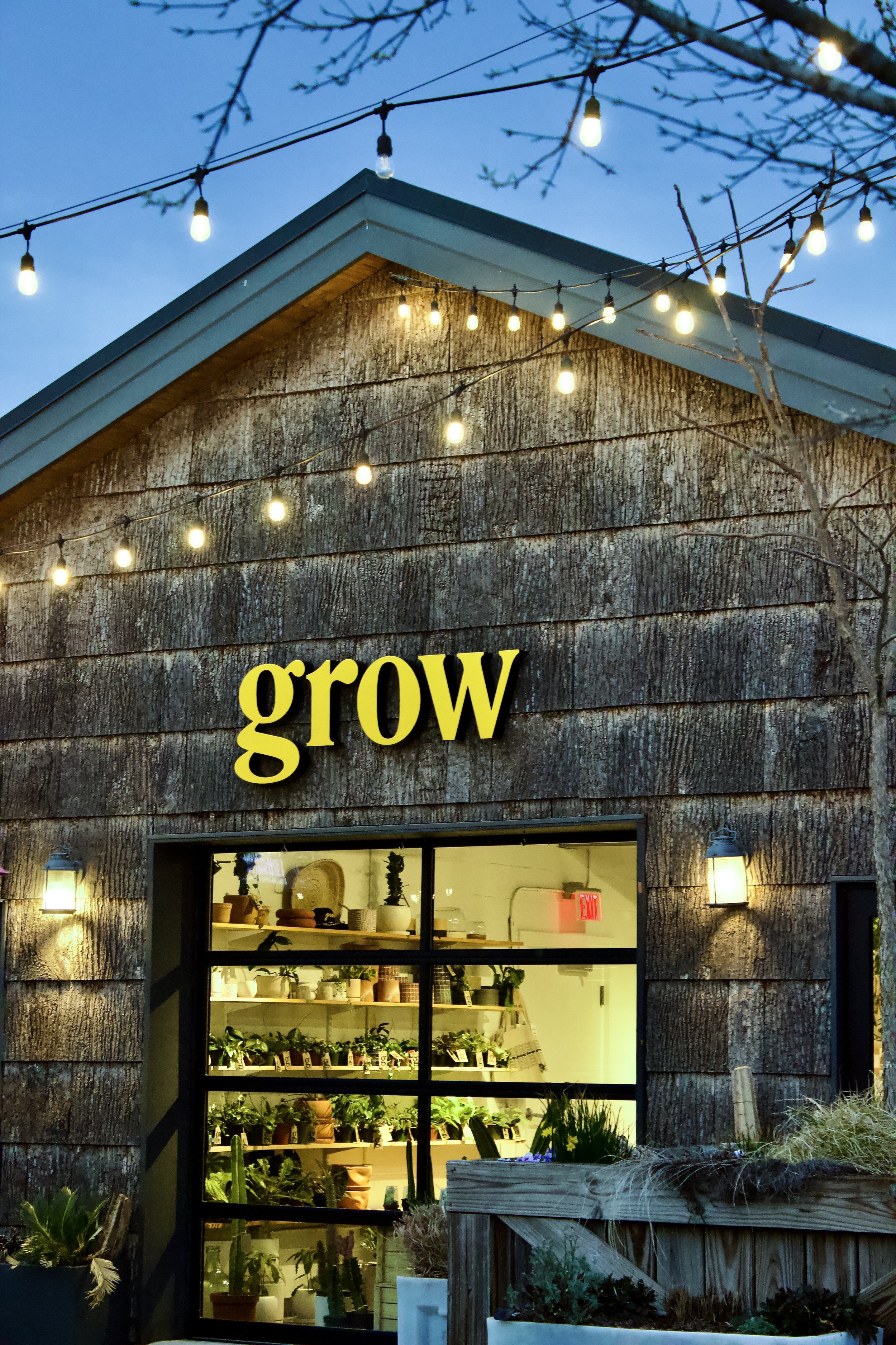 The exterior of a shop at dusk with a rustic wood facade, string lights hanging above, and a large window displaying an interior full of plants in pots and shelves. The shop sign reads 'grow' in bold yellow letters.