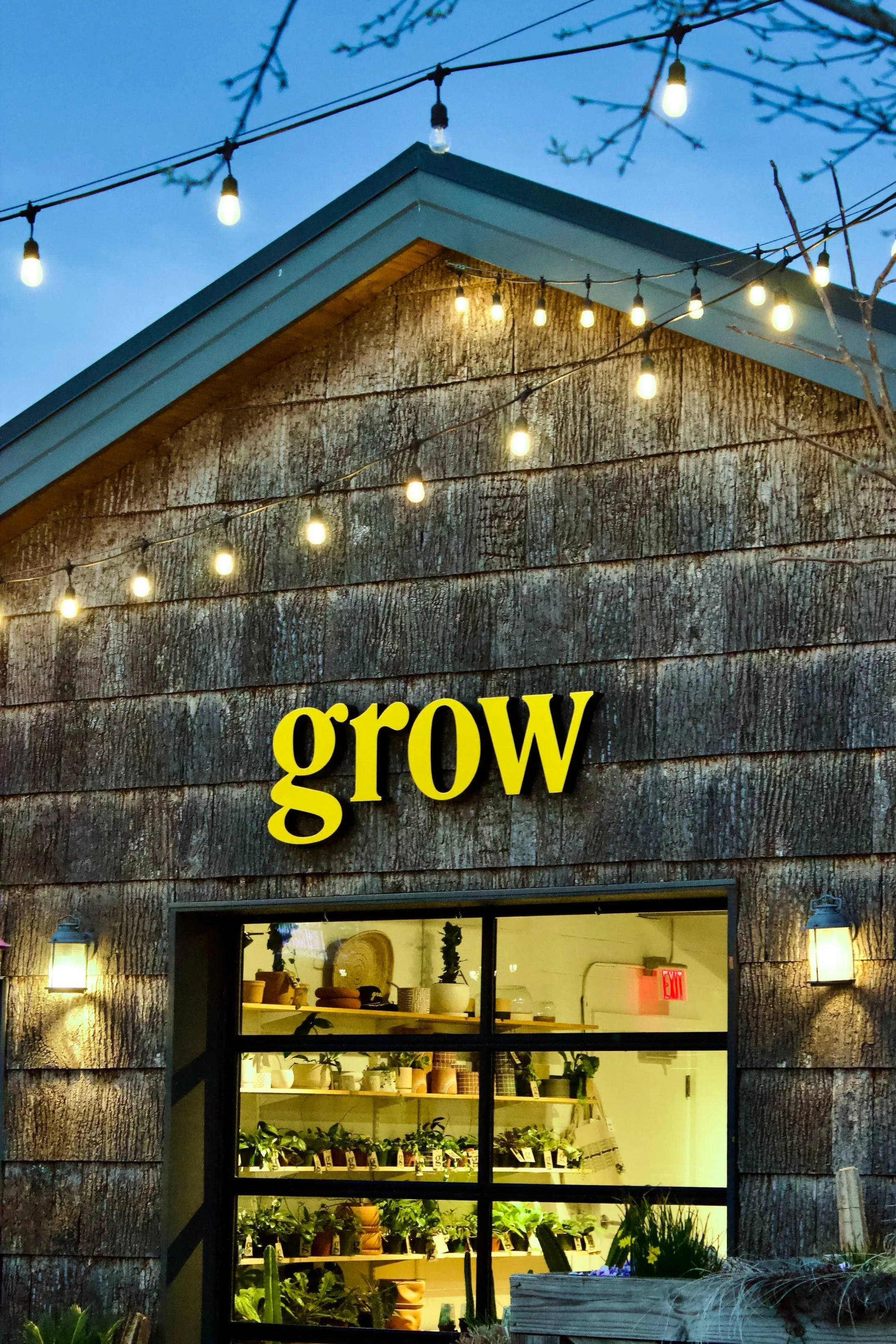 A rustic storefront with large glass window displaying potted plants and decor inside. The wooden exterior is lit by warm outdoor lights, with string lights hanging above. The partial word "grow" is visible on the building.
