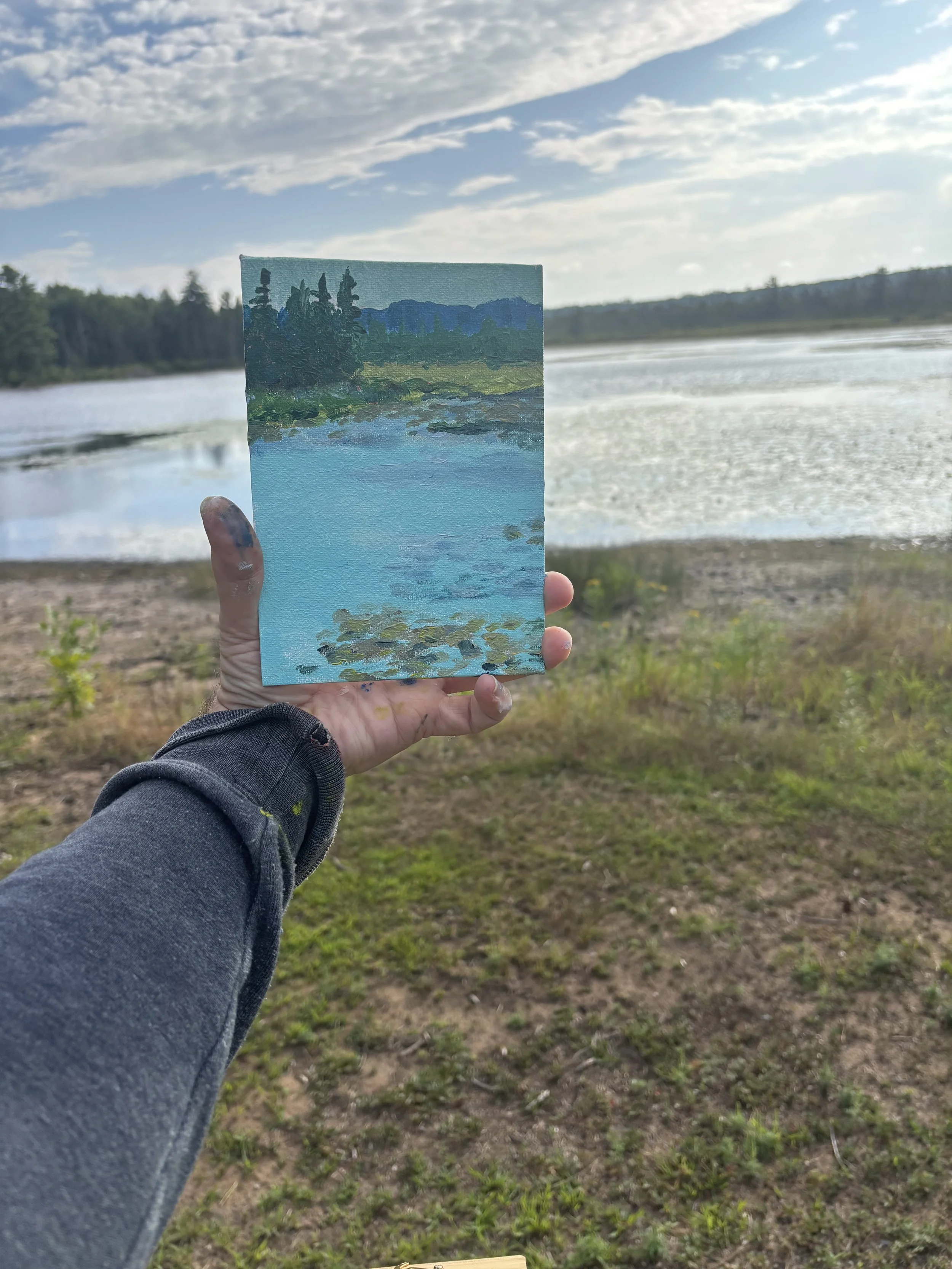 south pond lillies.jpeg
