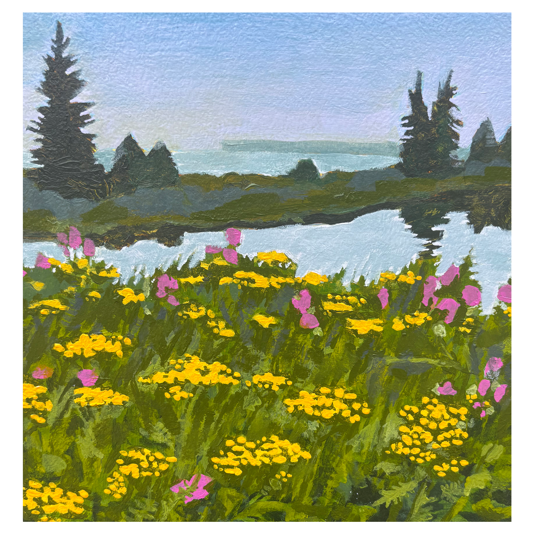 Flowers at De Tour Boat Launch