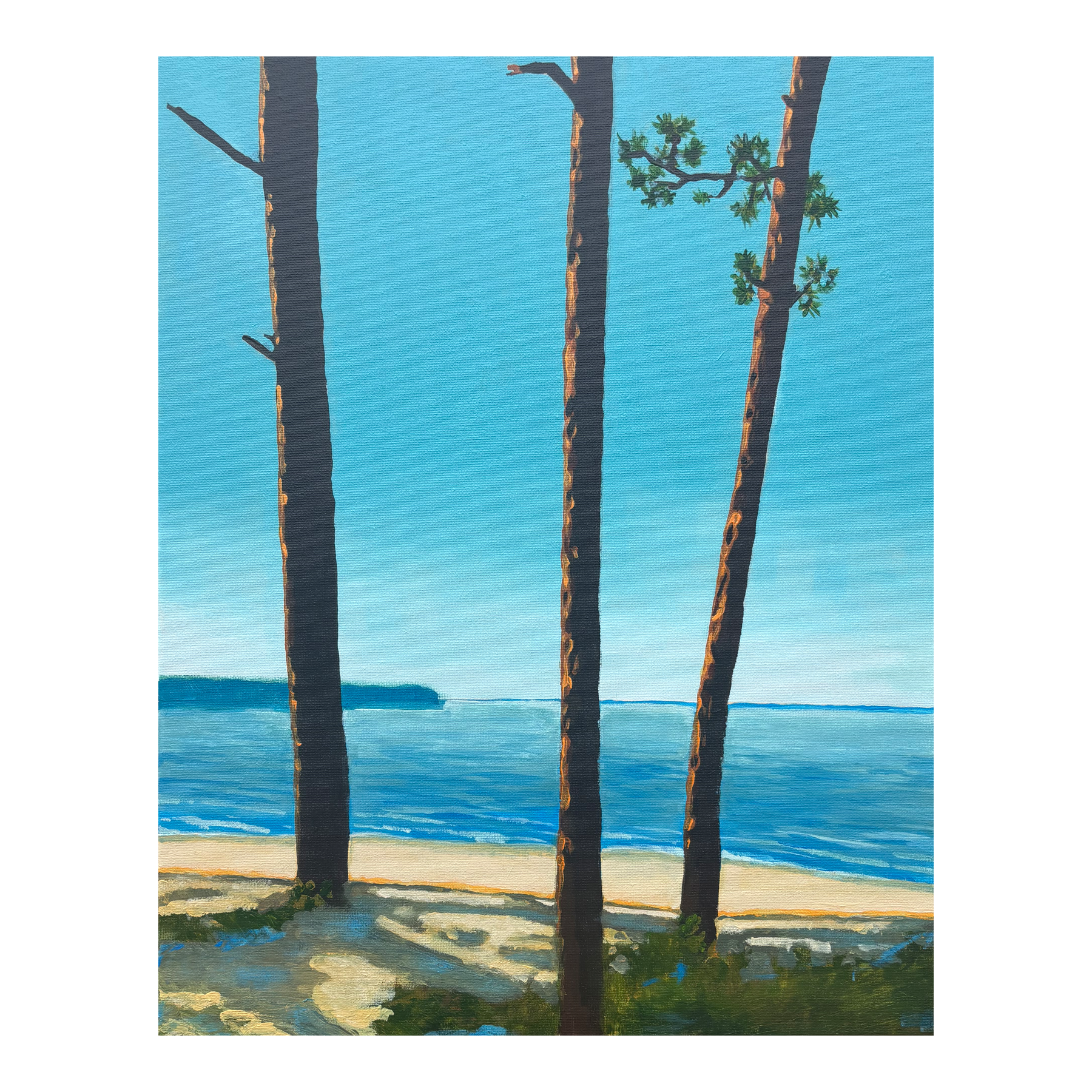 Three Lonely Pines