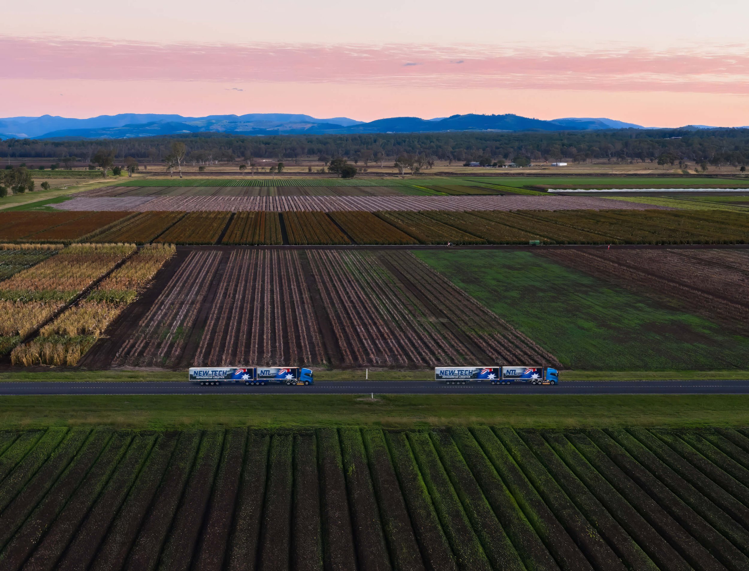 A panoramic view of farmland with colorful crops and garden beds, a mountain range in the background, and a fleet of trucks driving on a highway in the foreground.