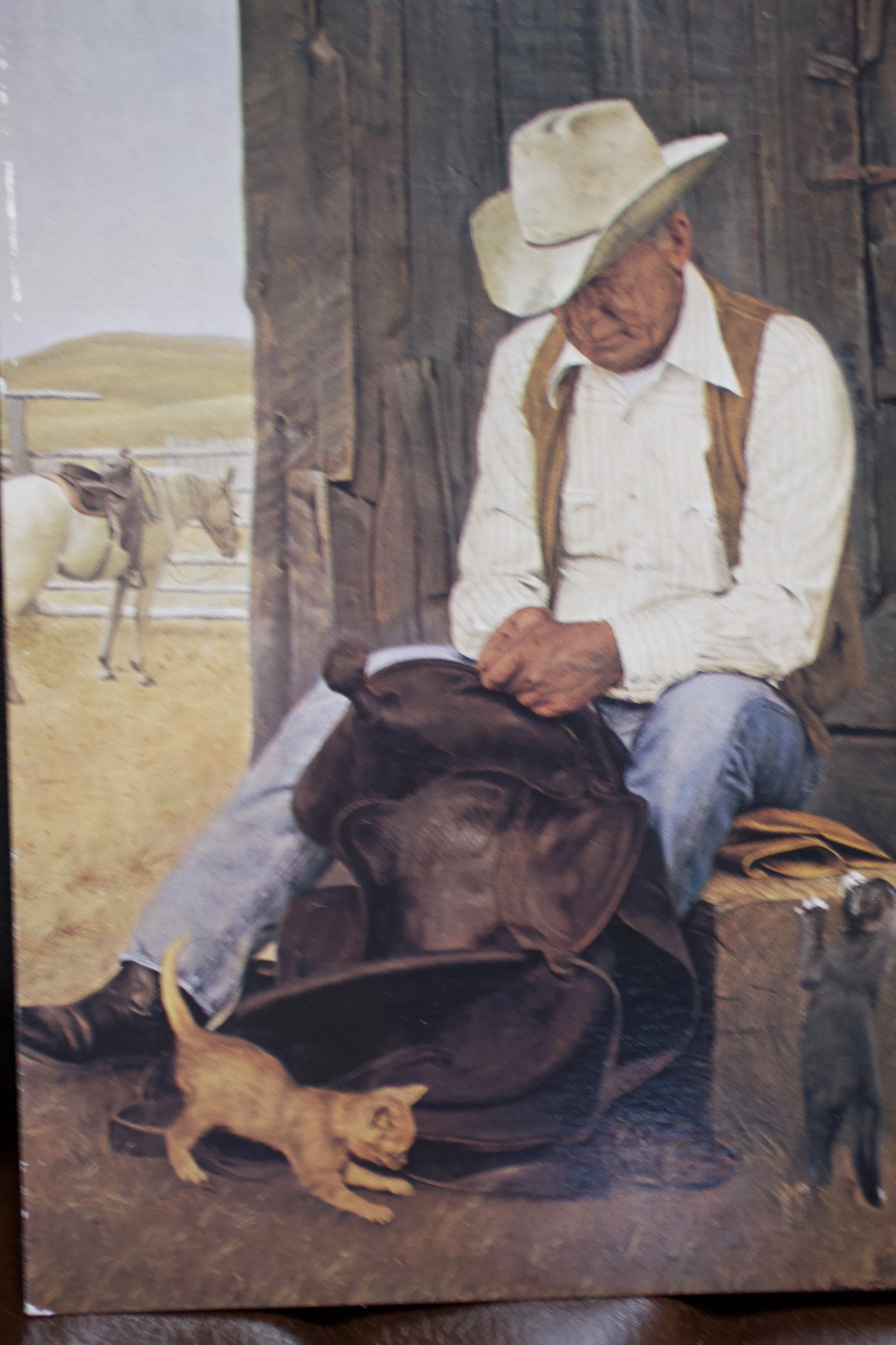 A man wearing a cowboy hat, white shirt, and brown vest sitting next to a wooden wall with horses in a field in the background.