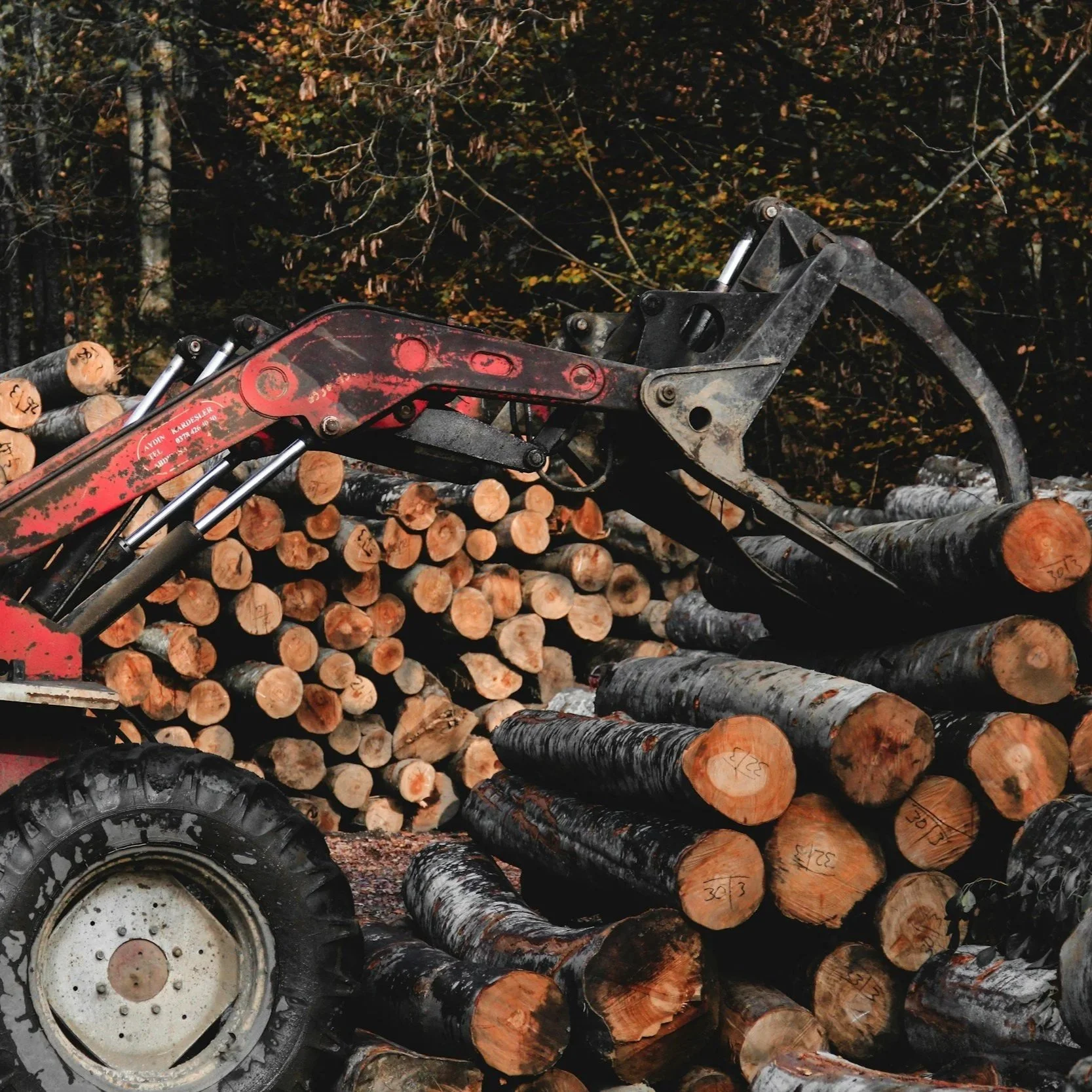 Forestry