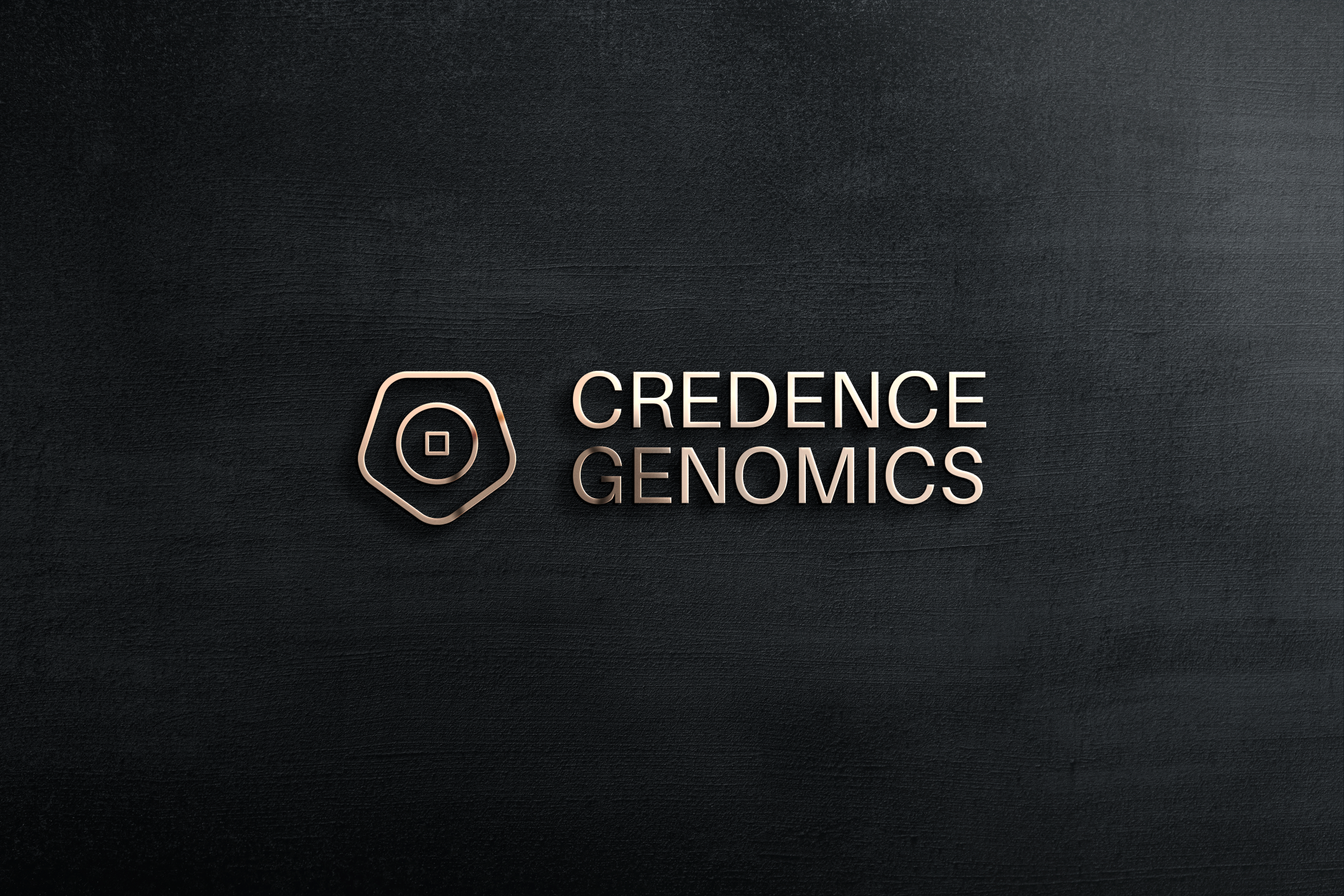 6297-logo mockup sm.png