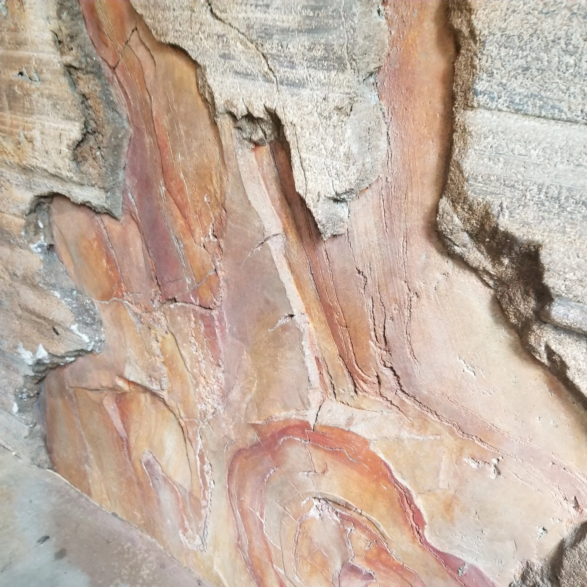 Star Wars Galaxy's Edge Petrified wood queue