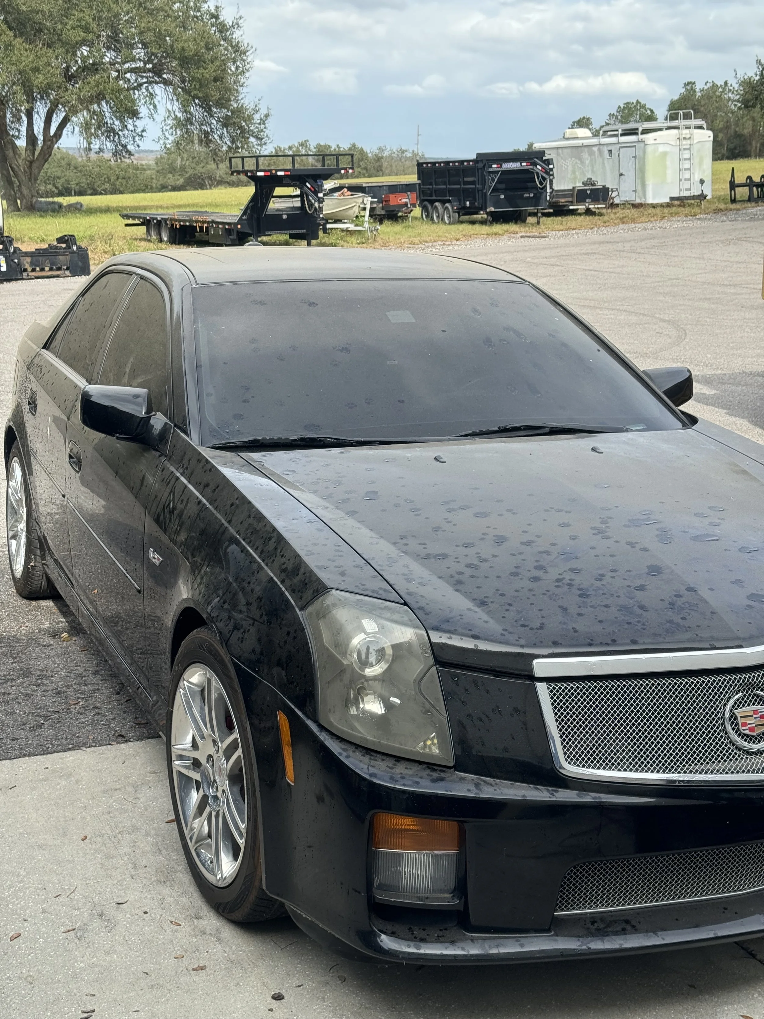 Close-up of a black Cadillac car parked on the street with a large tree and some trailers and boats in the background under a partly cloudy sky.