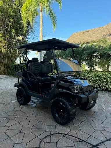 Black electric golf cart with a roof, parked on a paved area surrounded by green trees and plants, under a clear blue sky.