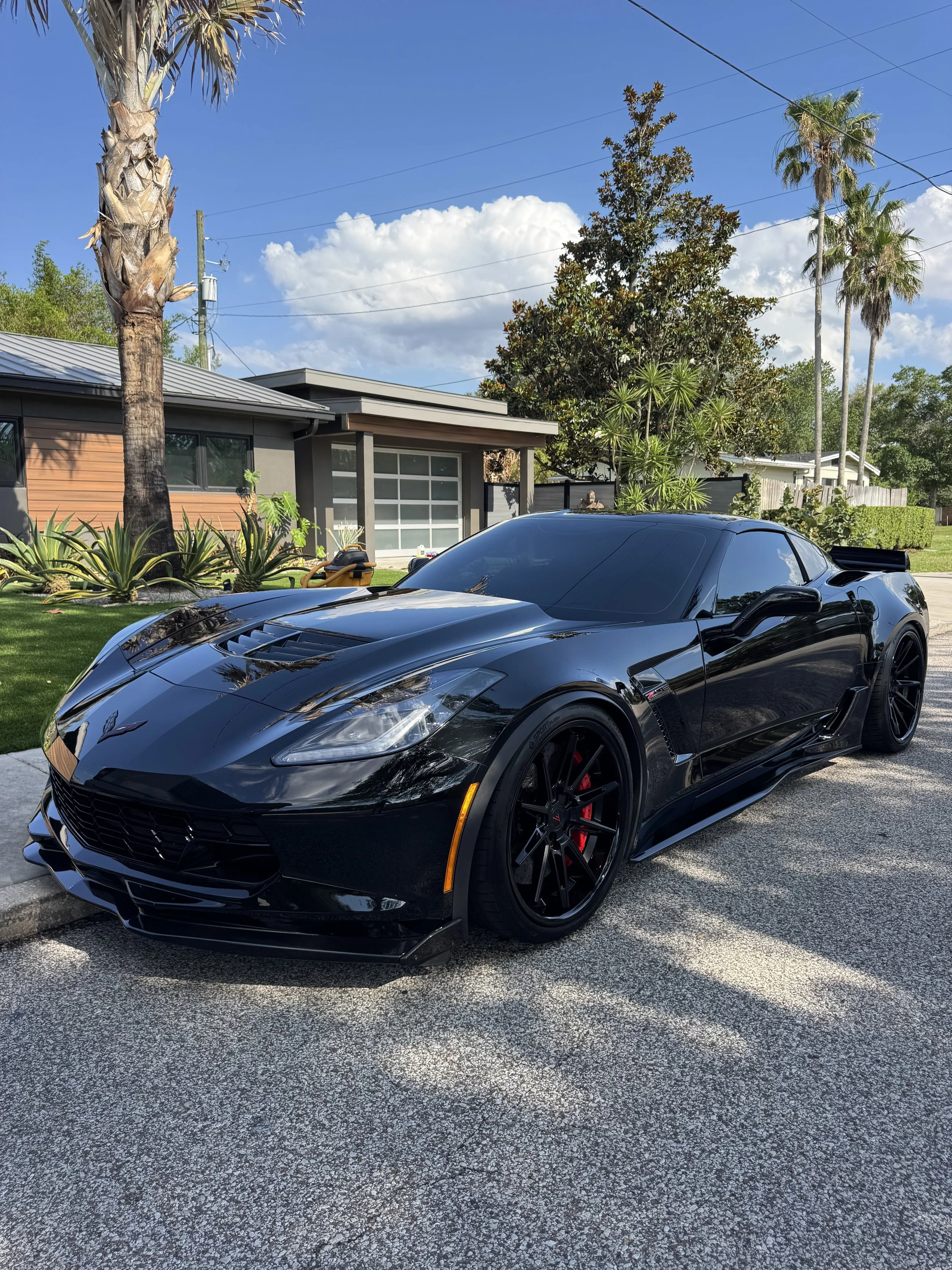 A black sports car parked on the street in front of a modern house with a large glass garage door. The house has a flat roof and is surrounded by lush green plants, including palm trees and succulents. The sky is blue with some white clouds.