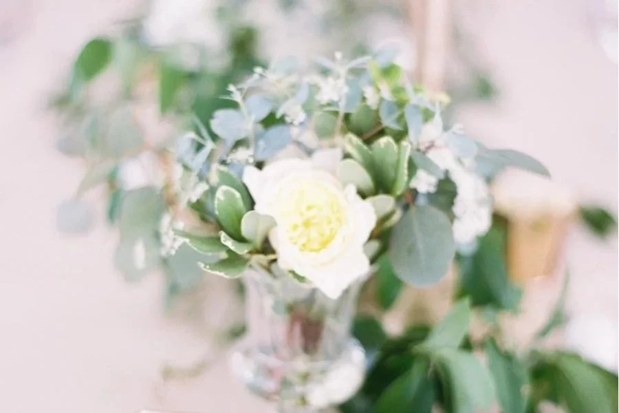 OMAHAWEDDINGPHOTOGRAPHER123.jpg