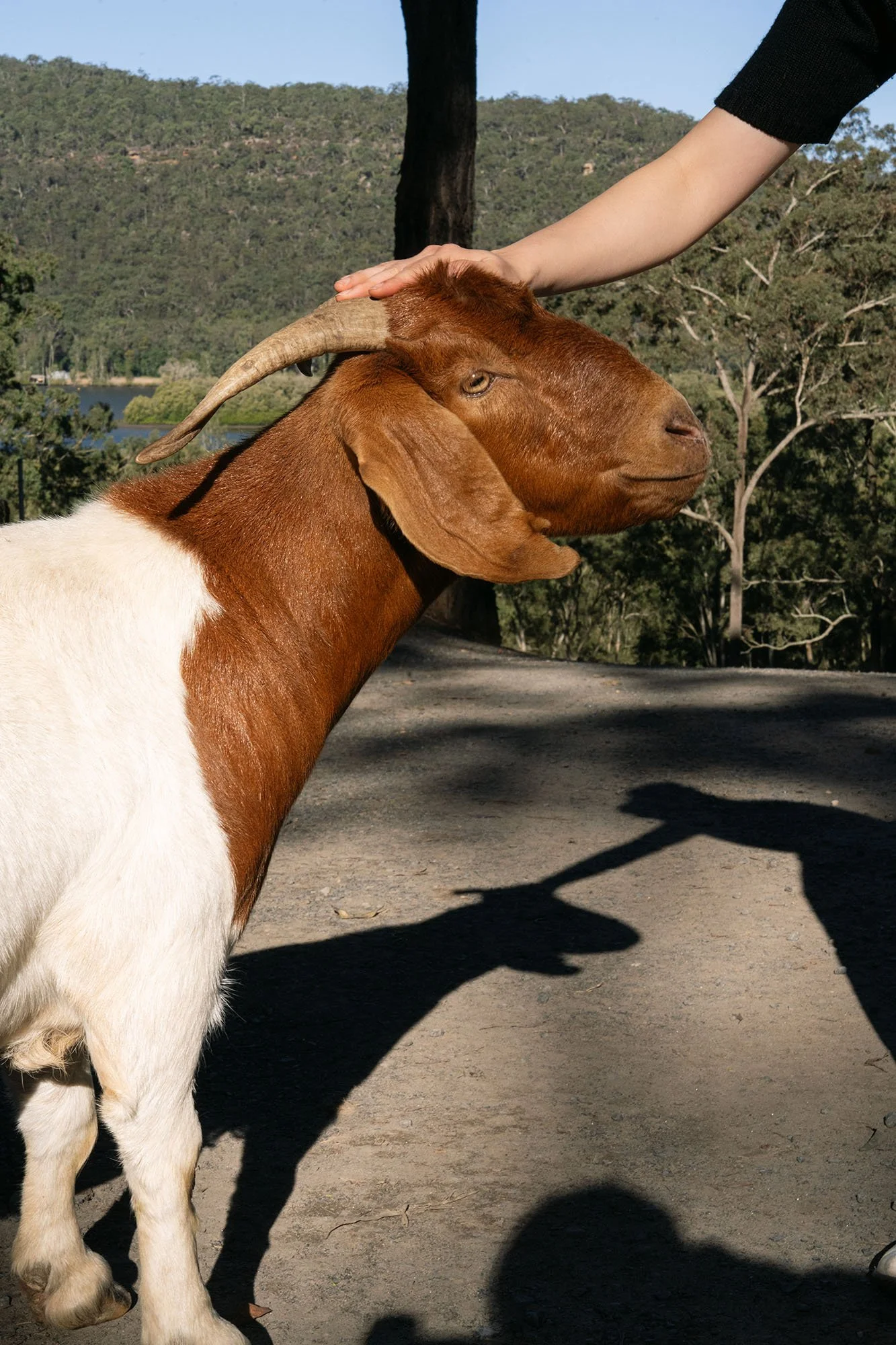 _DSC9779.jpg