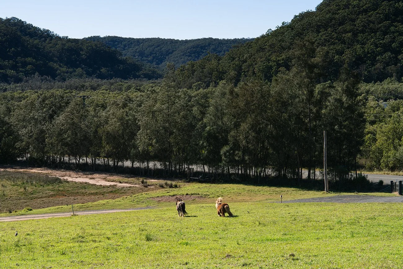 LittleChooksFarm_campground_4.jpg