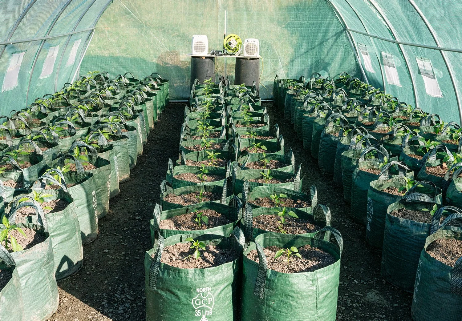 LittleChooksFarm_veg_3.jpg