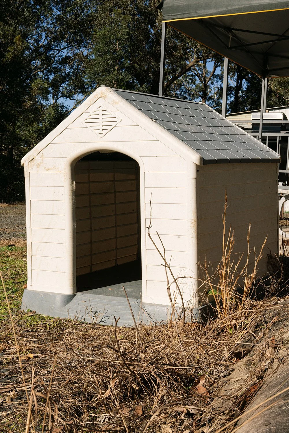 LittleChooksFarm_cabin2b_5.jpg