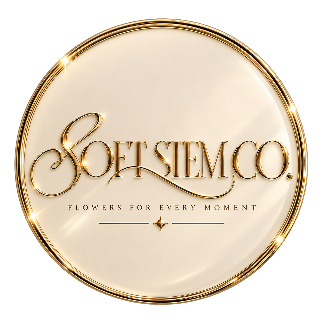 Shopsoftstem.co