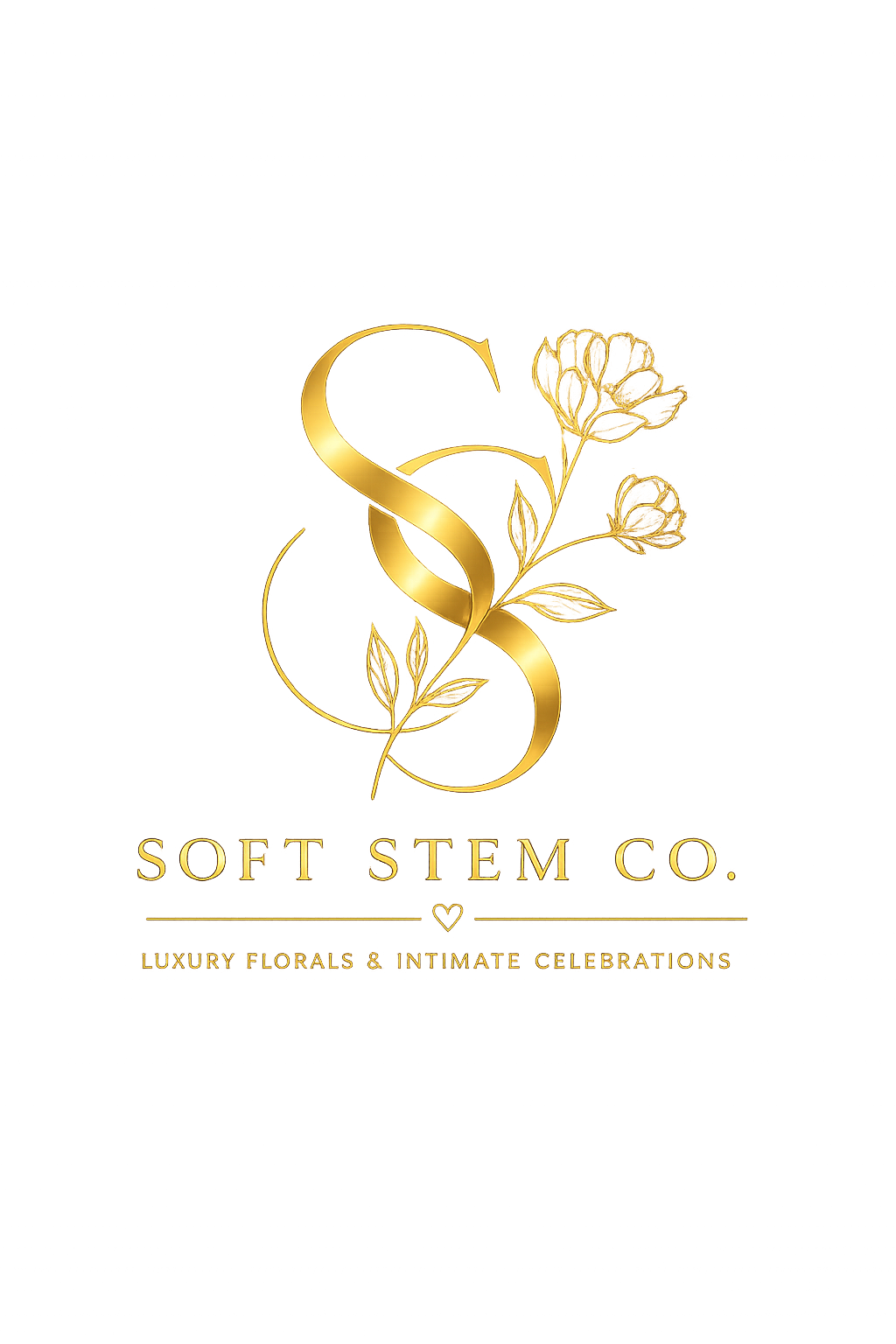 Shopsoftstem.co