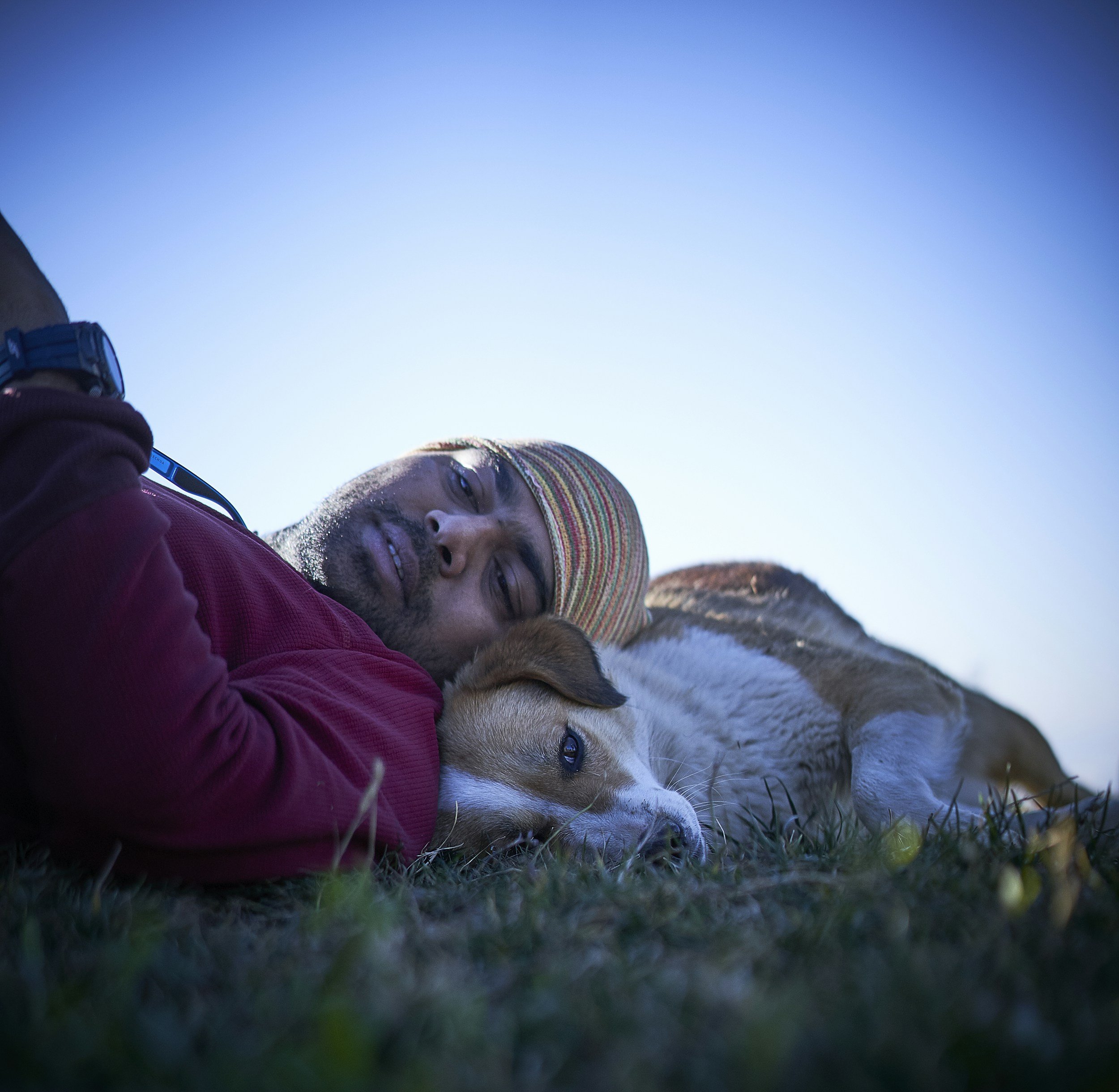 A person wearing a colorful knit hat and glasses lying on the grass with a dog, under a clear blue sky.