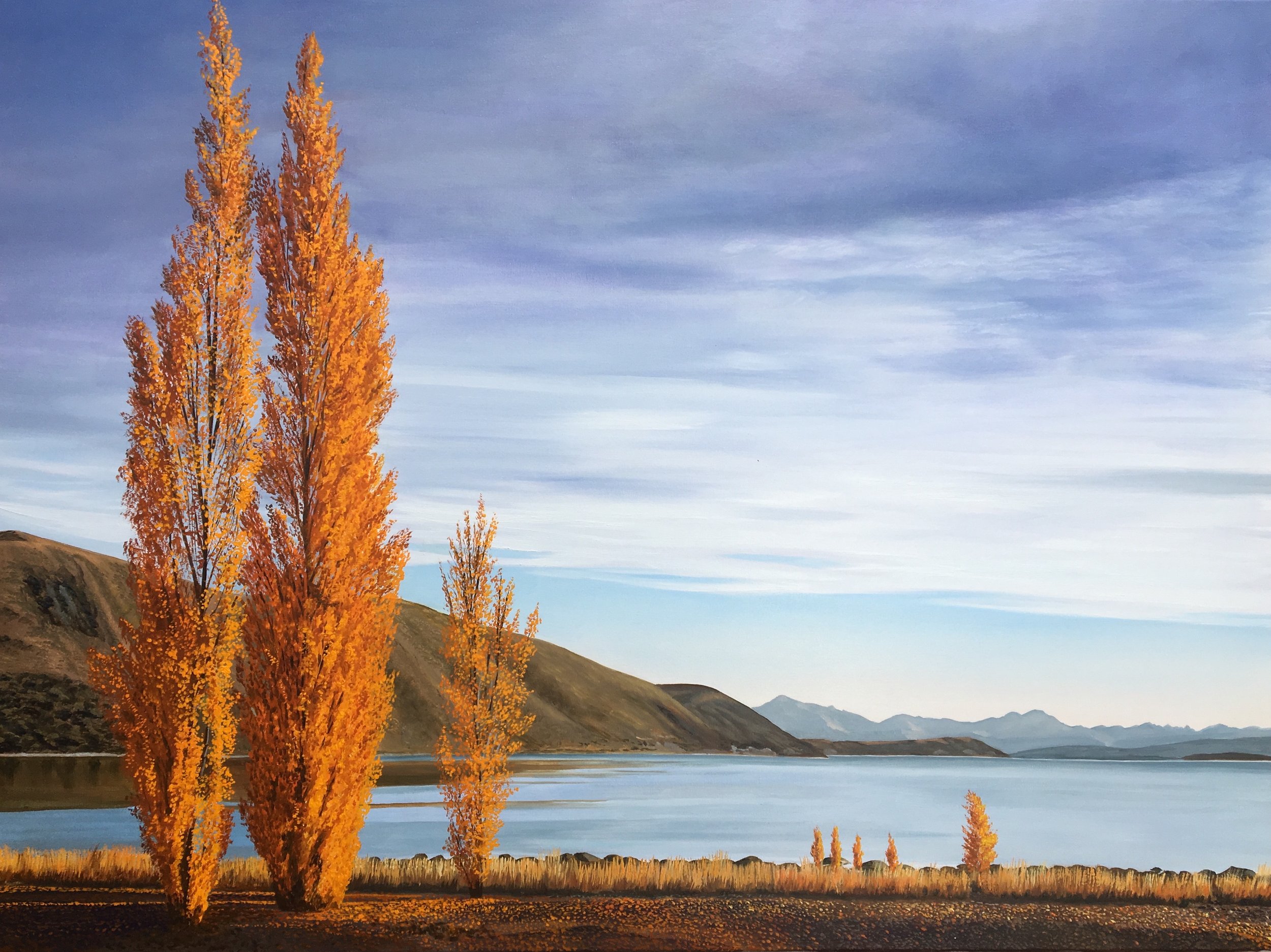 Poplars.jpeg