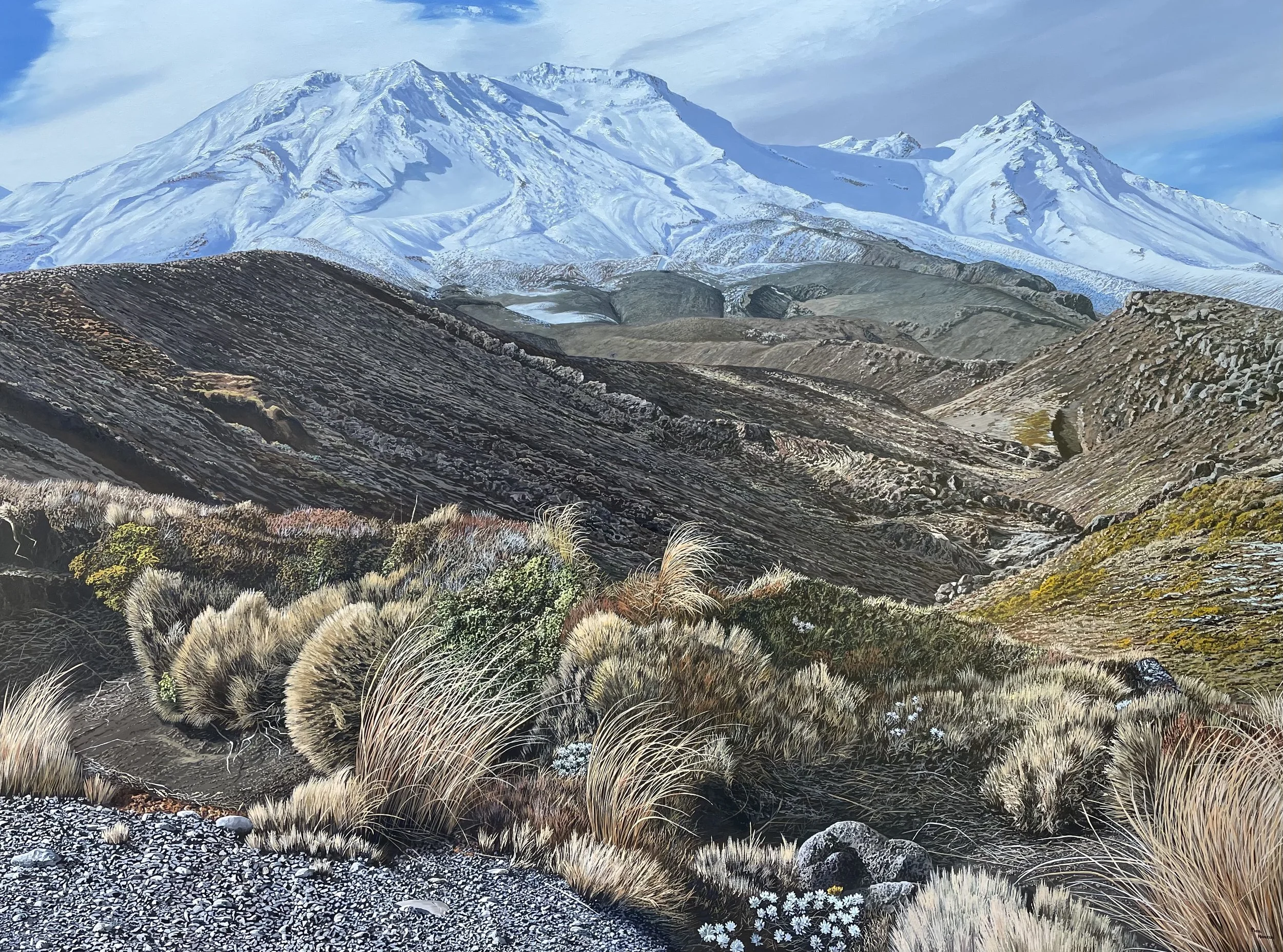 North Island Landscapes