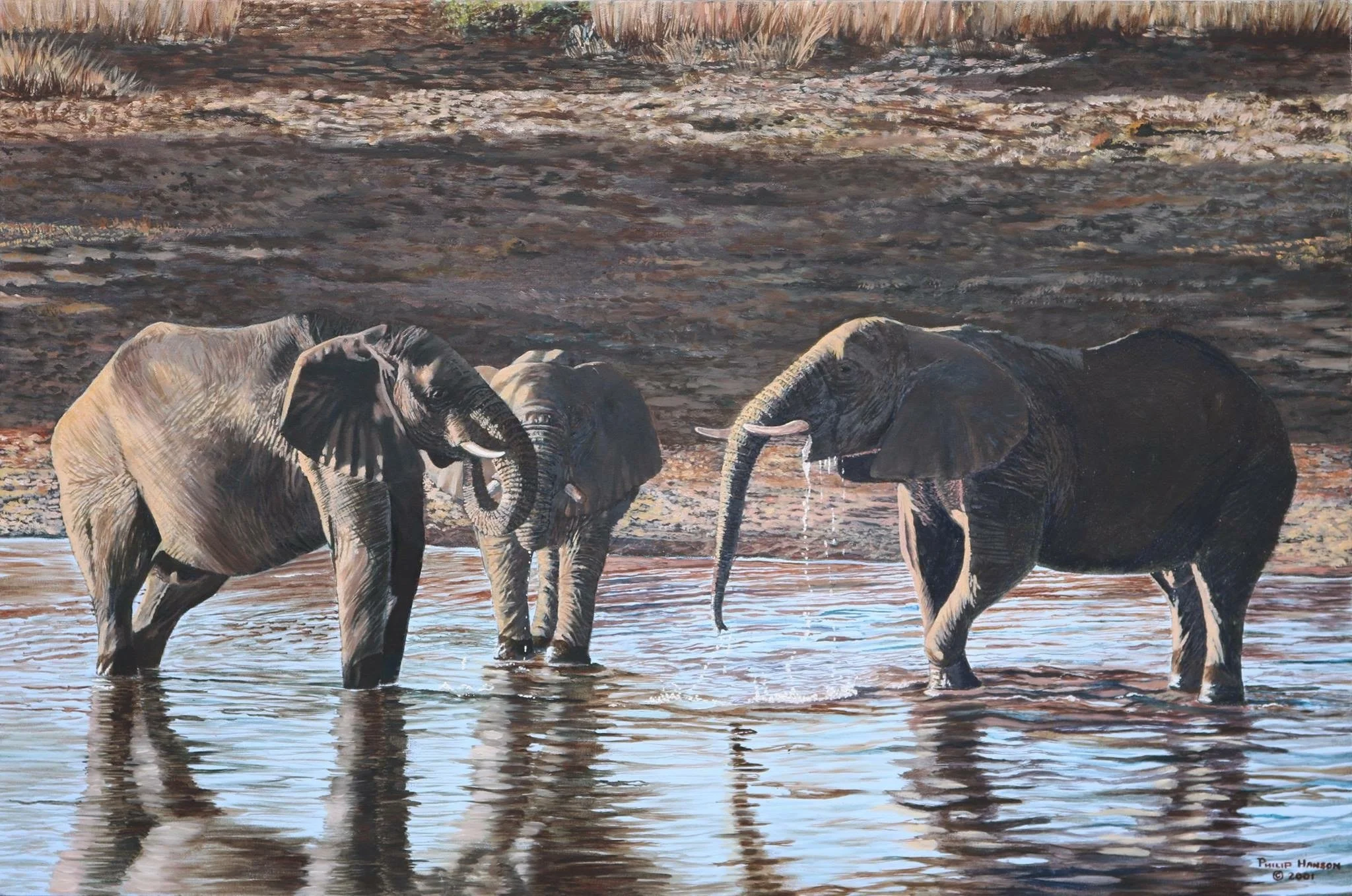 Wildlife paintings