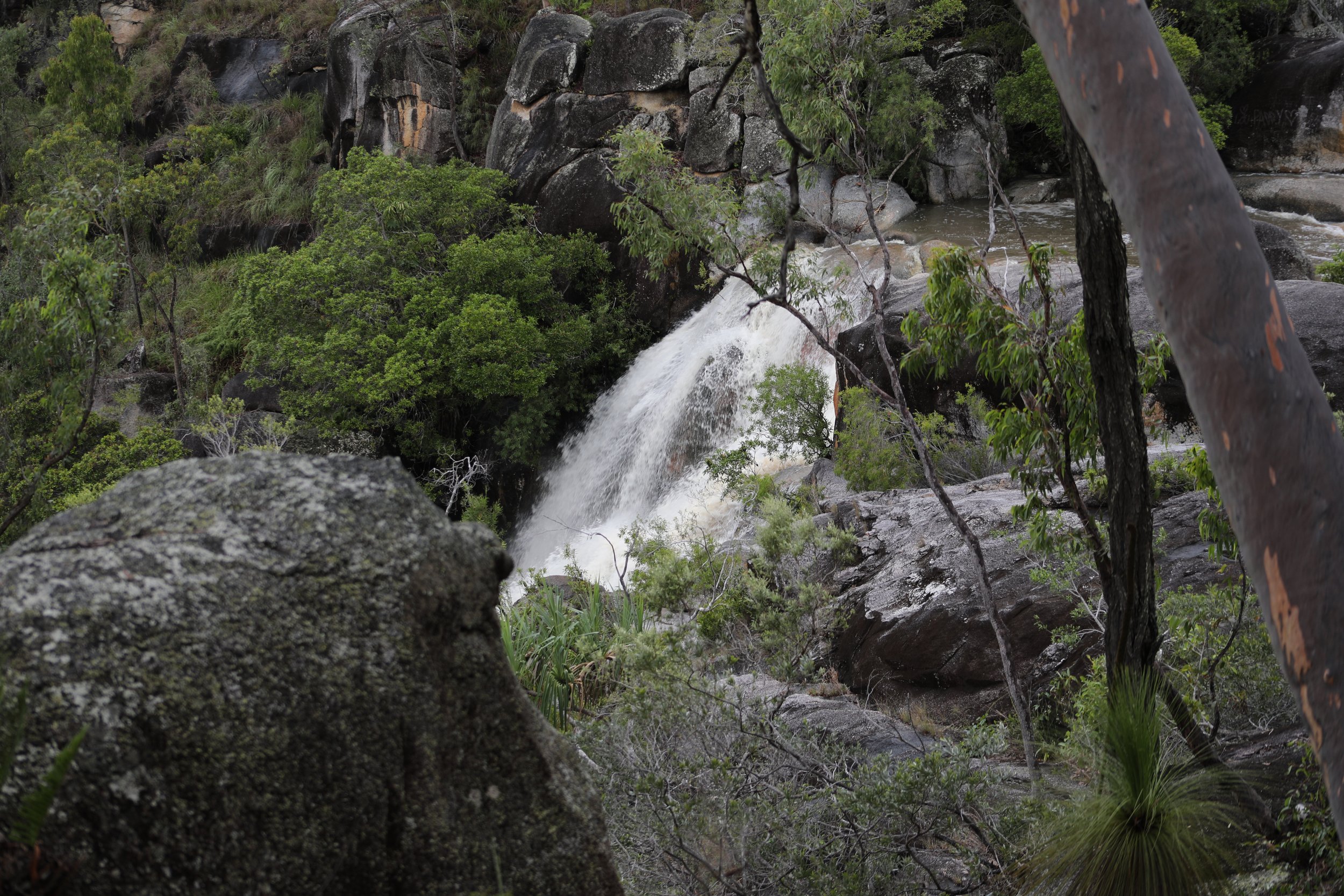 A small waterfall flowing over rocks in a forest with trees and green foliage.