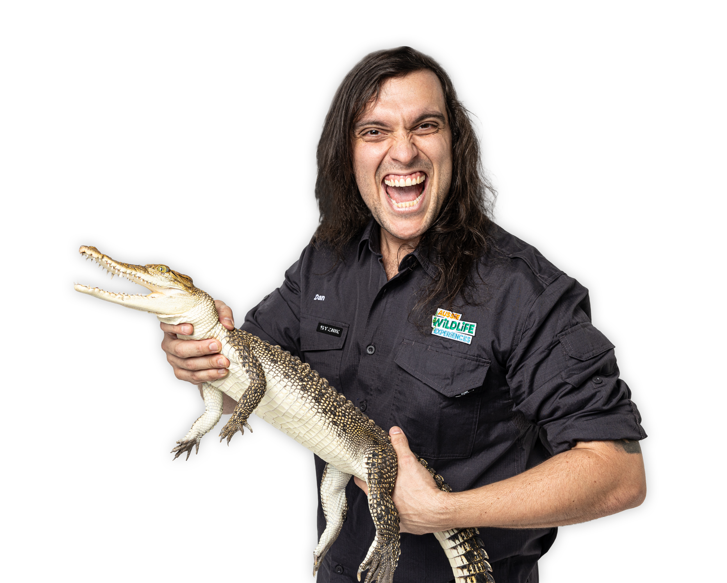 A man with long dark hair wearing a black shirt with the Aussie Wildlife Experiences logo, holding a crocodile with a wide open mouth, against a black background.