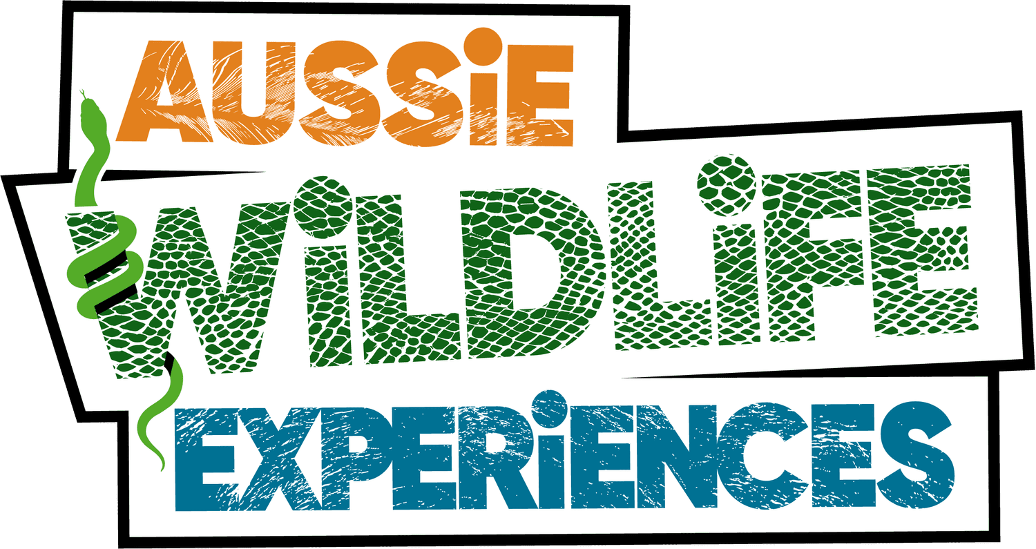 Aussie Wildlife Experiences