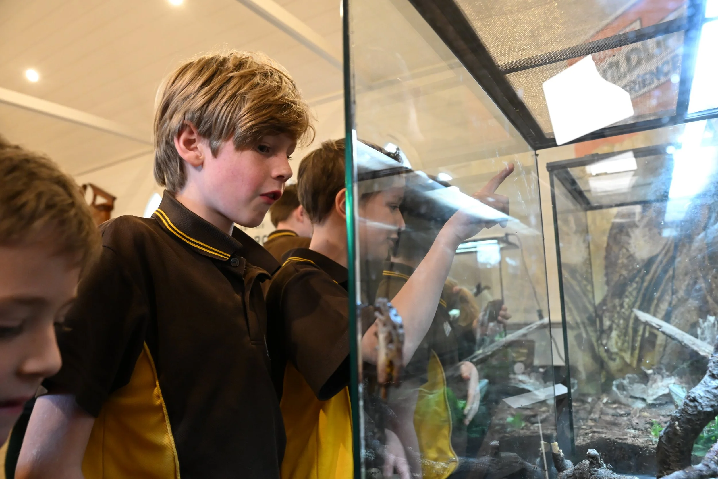 Group of children observing animals in a glass display case at a reptile exhibit.