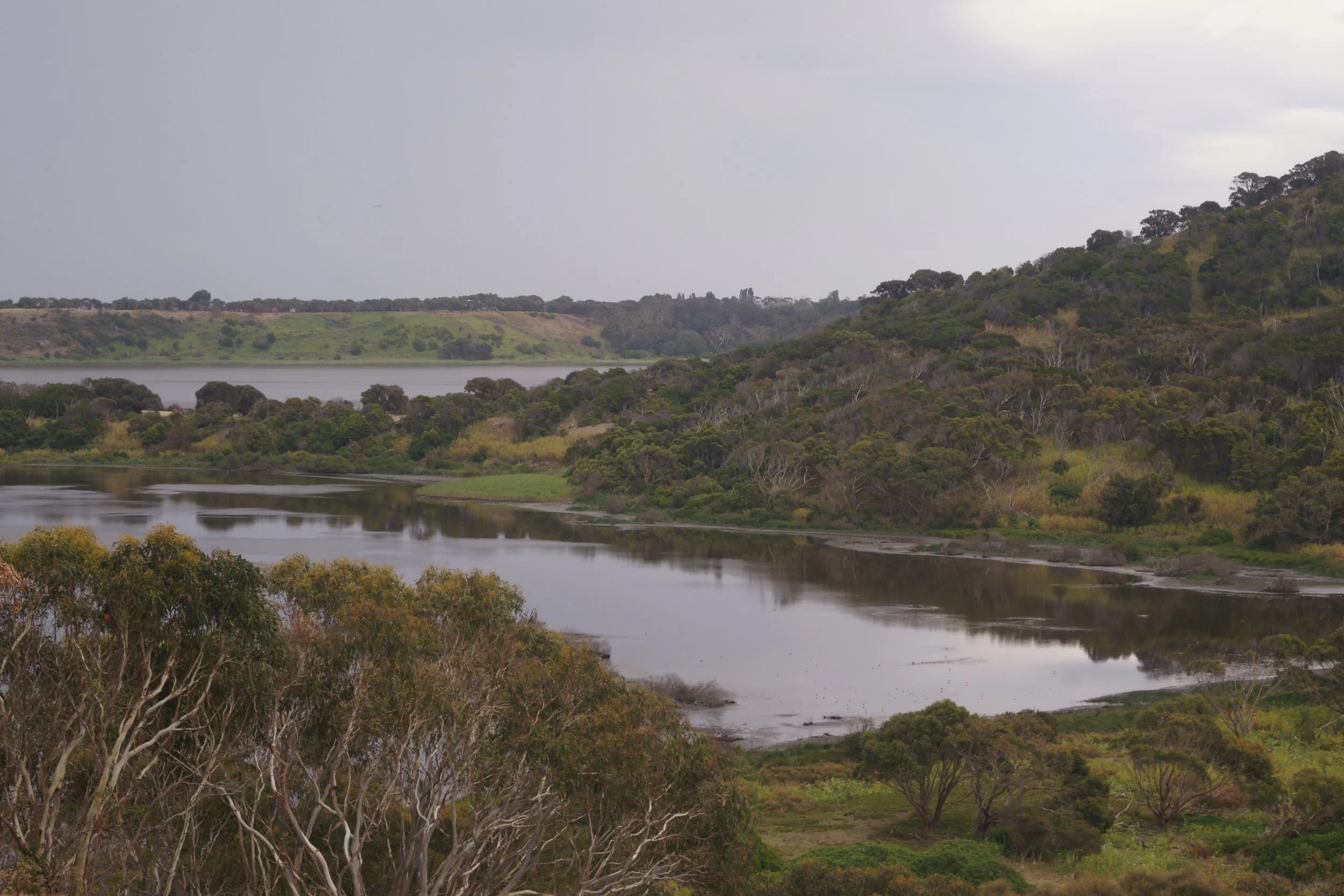 A scenic landscape of a river running through lush, green hills with dense trees, under a cloudy sky.