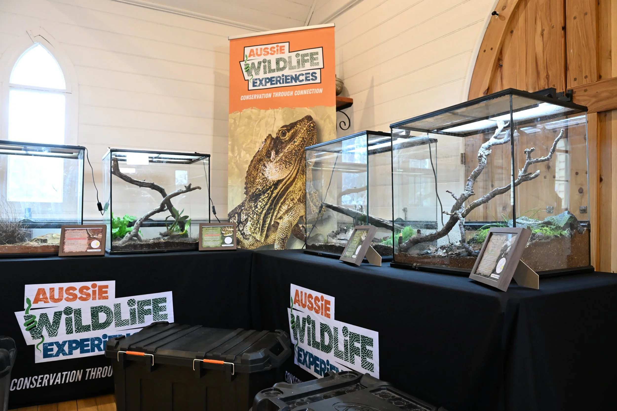 Display of glass terrariums with branches and plants inside at an exhibition titled 'Aussie Wildlife Experiences' promoting wildlife conservation.