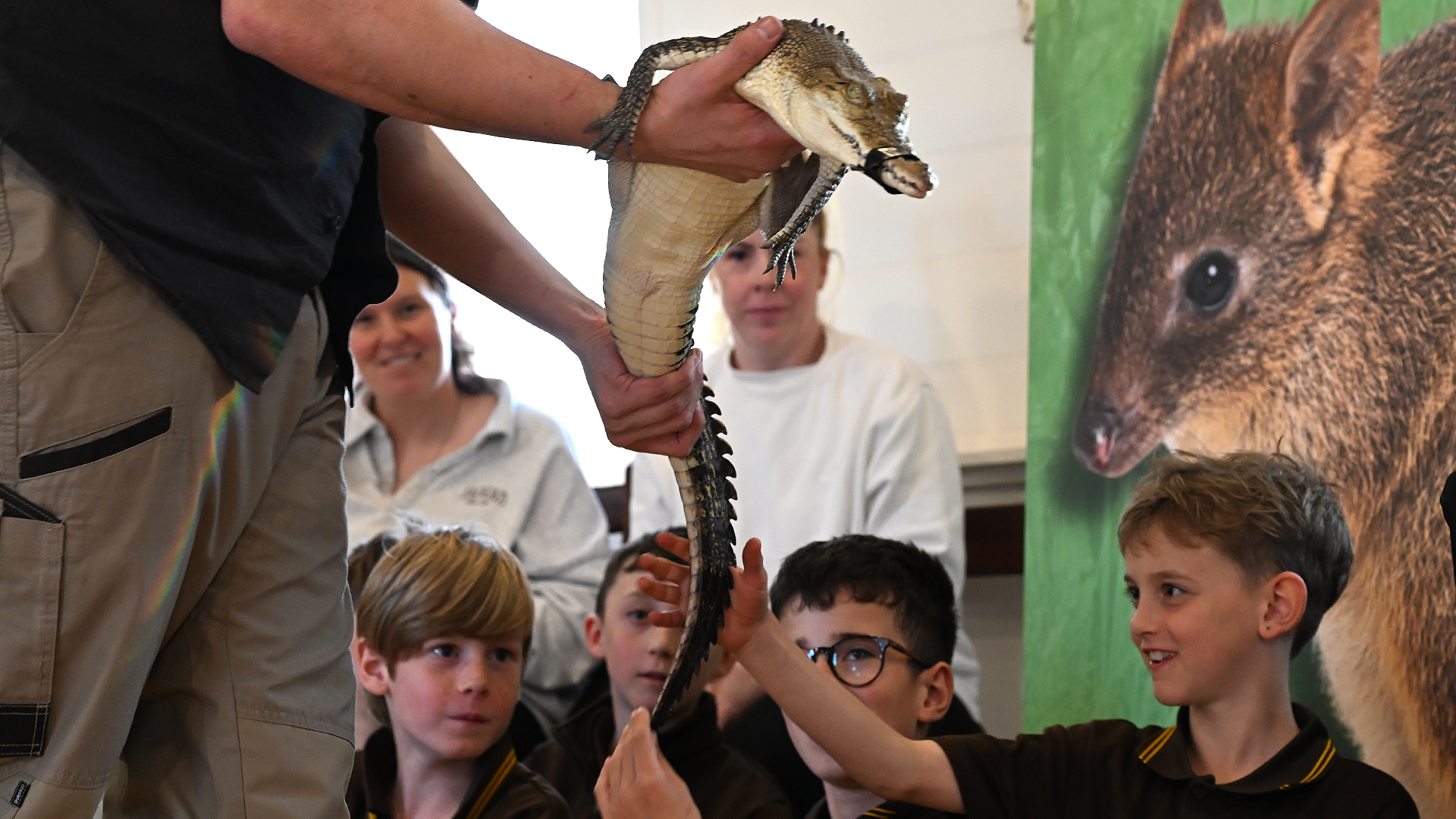 Children and adults observing and patting a small saltwater crocodile during an educational presentation. There is a large poster of a woylie in the background.