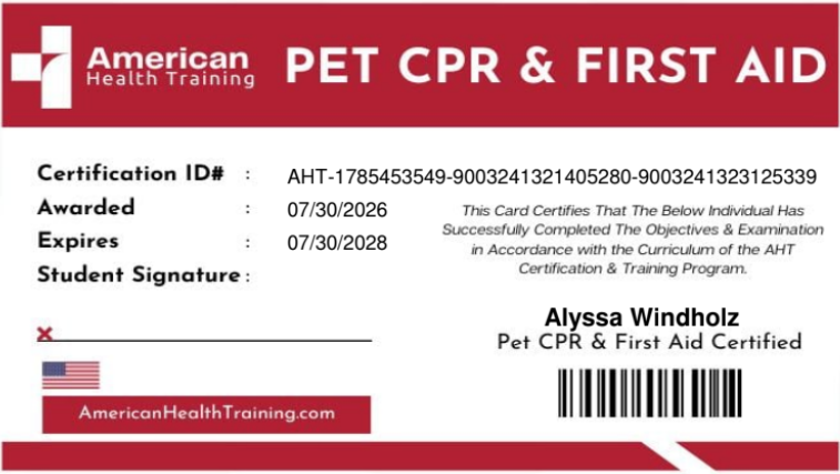 Certification card for American Heart Training, certifying Pet CPR and First Aid, issued to Alyssa Windholz, with certification ID, issue and expiration dates, and barcode.