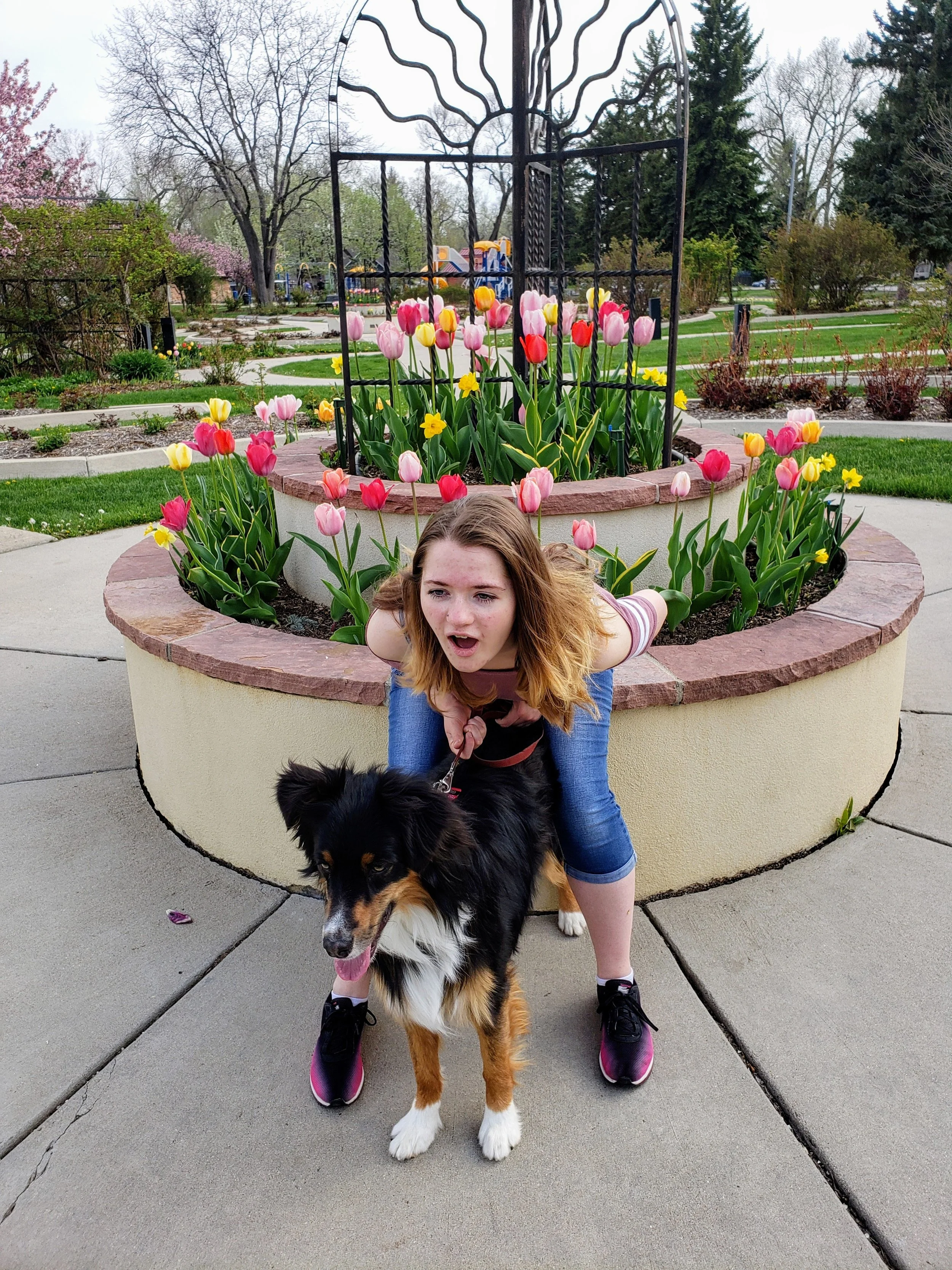 A young woman with long red hair crouching behind a black and white Australian Shepherd dog with a leashed collar, in front of a circular flower bed filled with pink, yellow, and red tulips, in a park with mature trees and well-kept lawns.