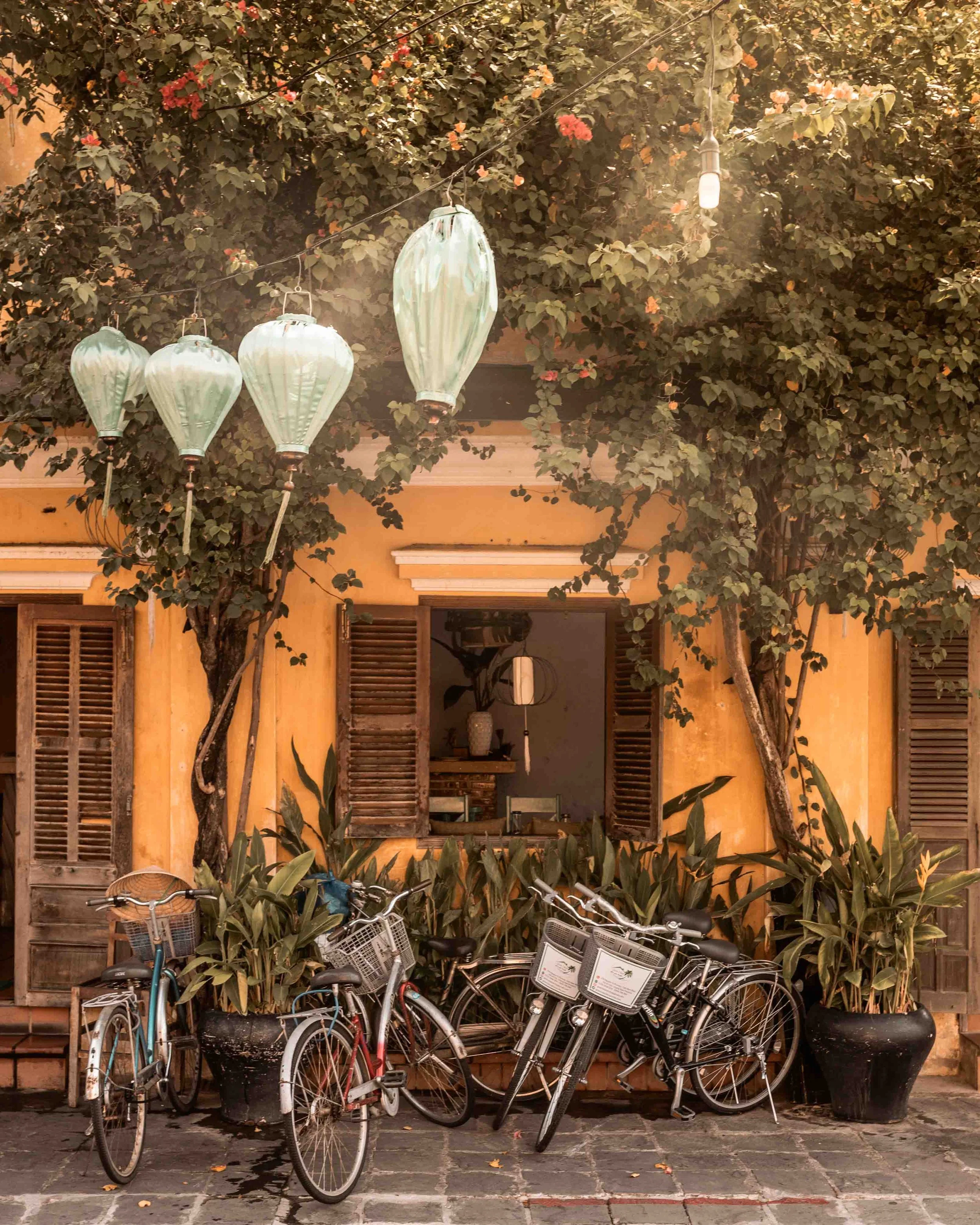 WEB_vietnam_2019_photography_by_dominey_flores-16.jpg