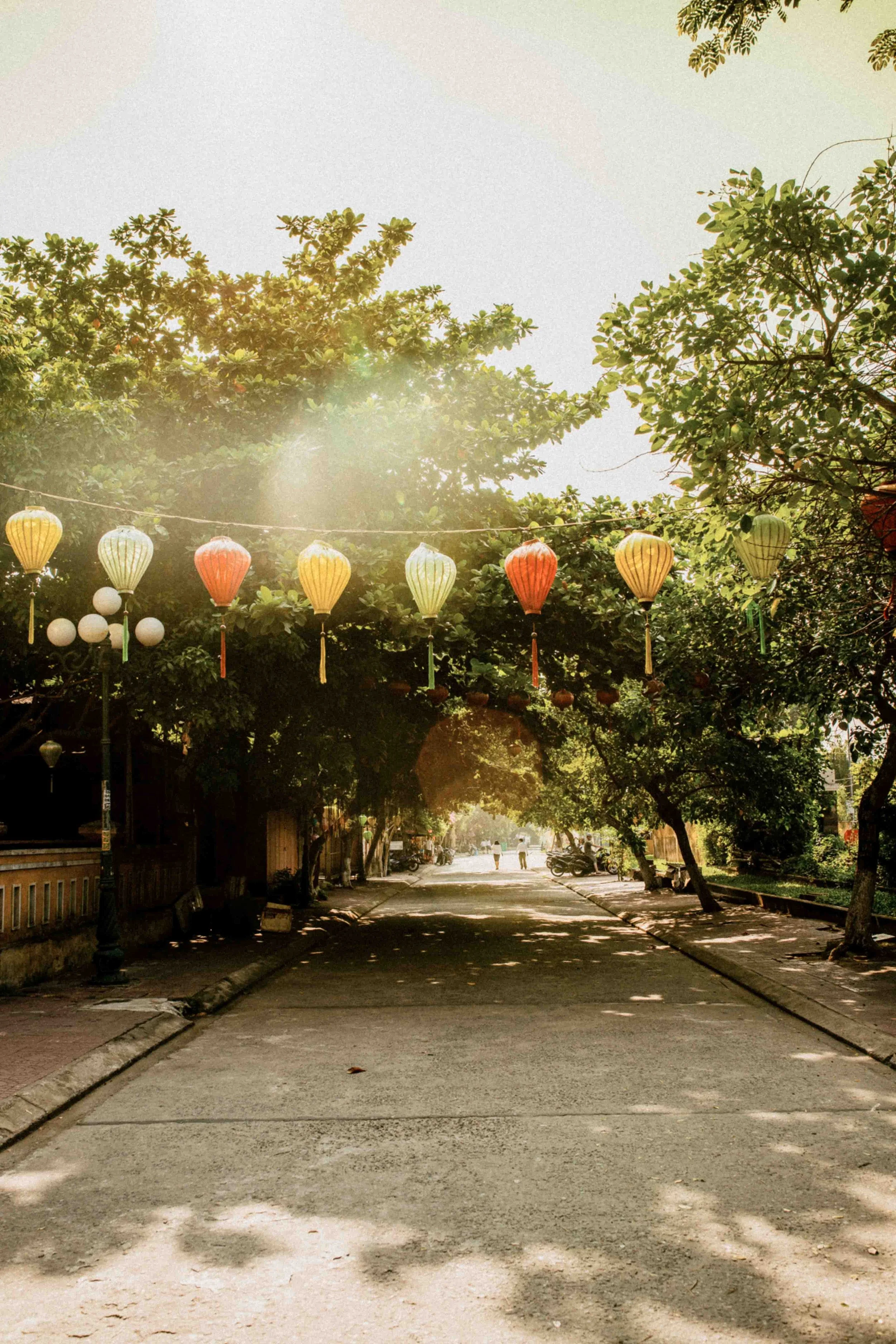 WEB_vietnam_2019_photography_by_dominey_flores-19.jpg