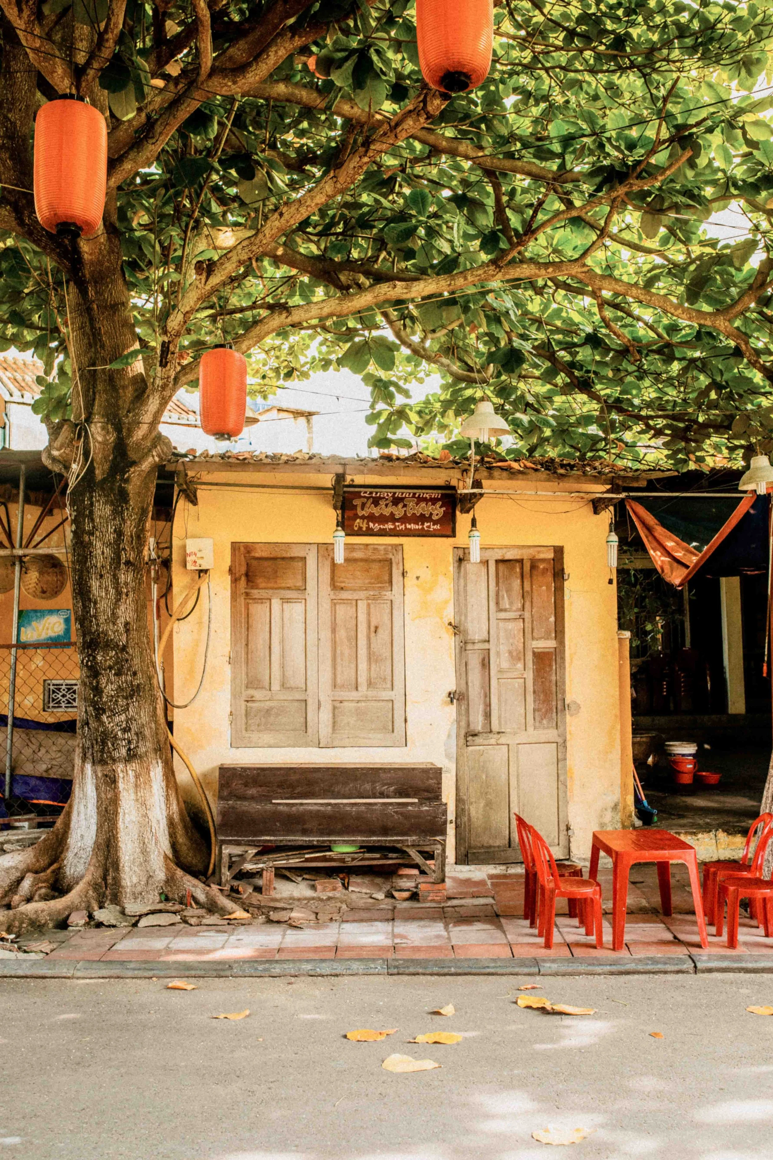 WEB_vietnam_2019_photography_by_dominey_flores-20.jpg
