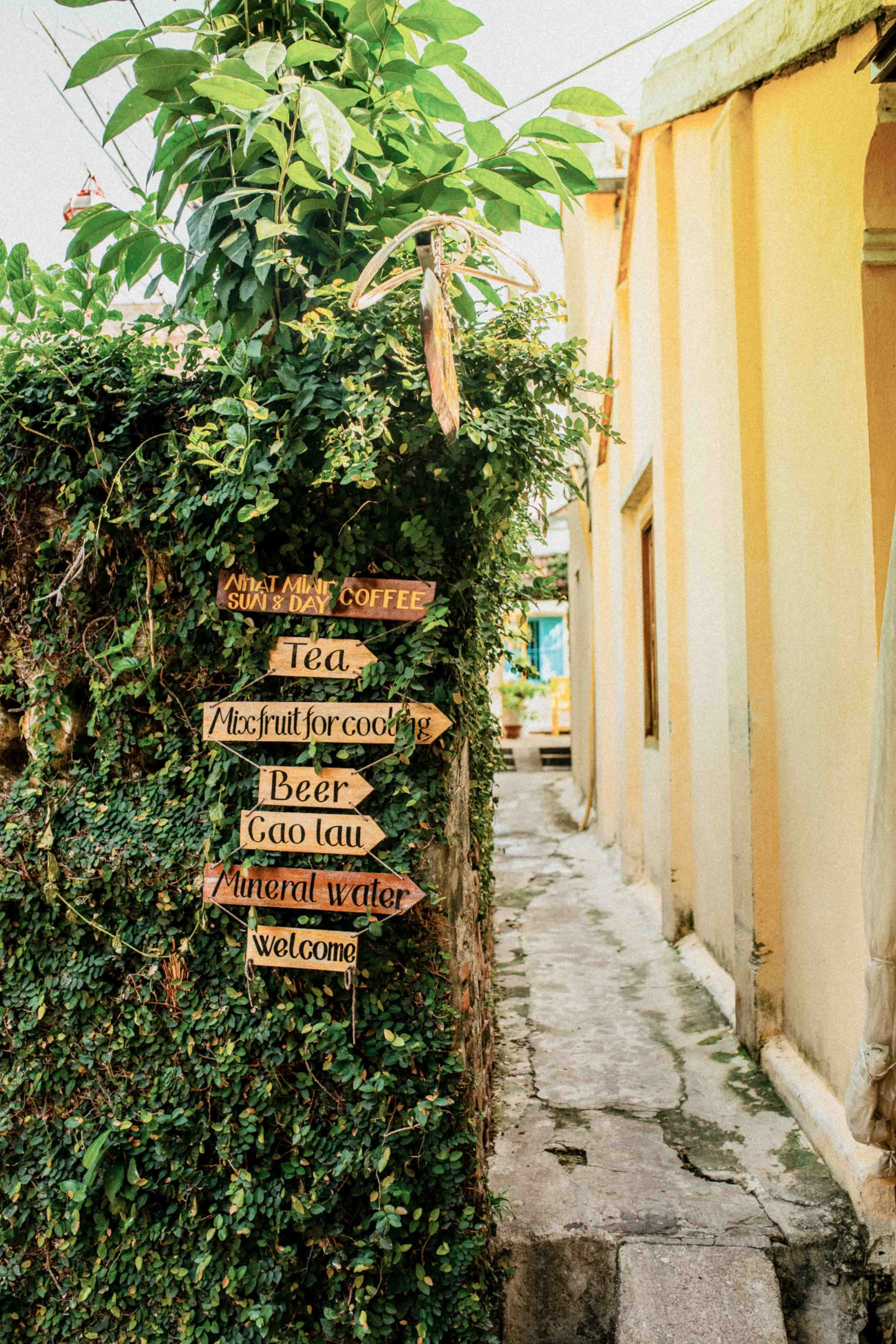 WEB_vietnam_2019_photography_by_dominey_flores-23.jpg