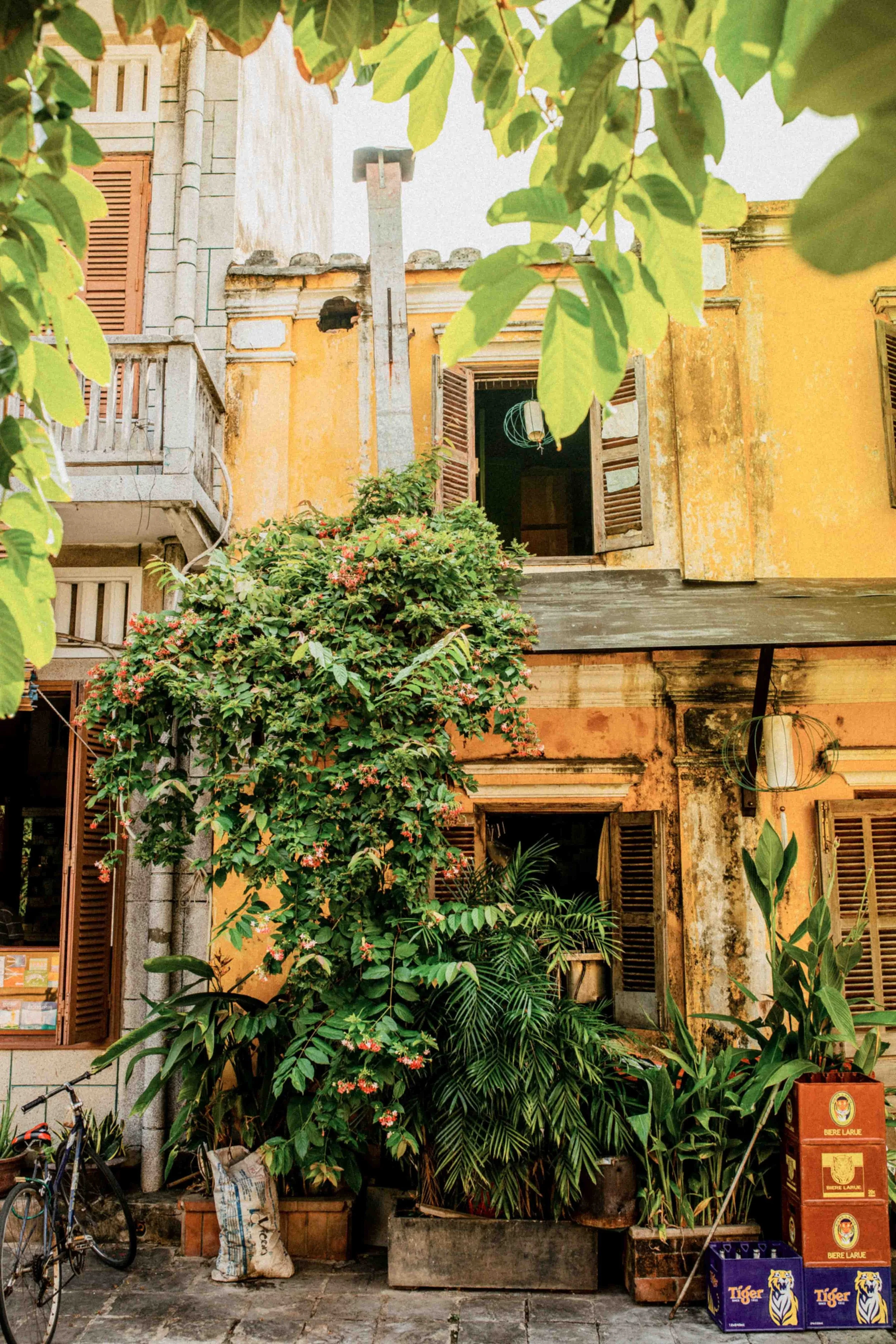 WEB_vietnam_2019_photography_by_dominey_flores-31.jpg