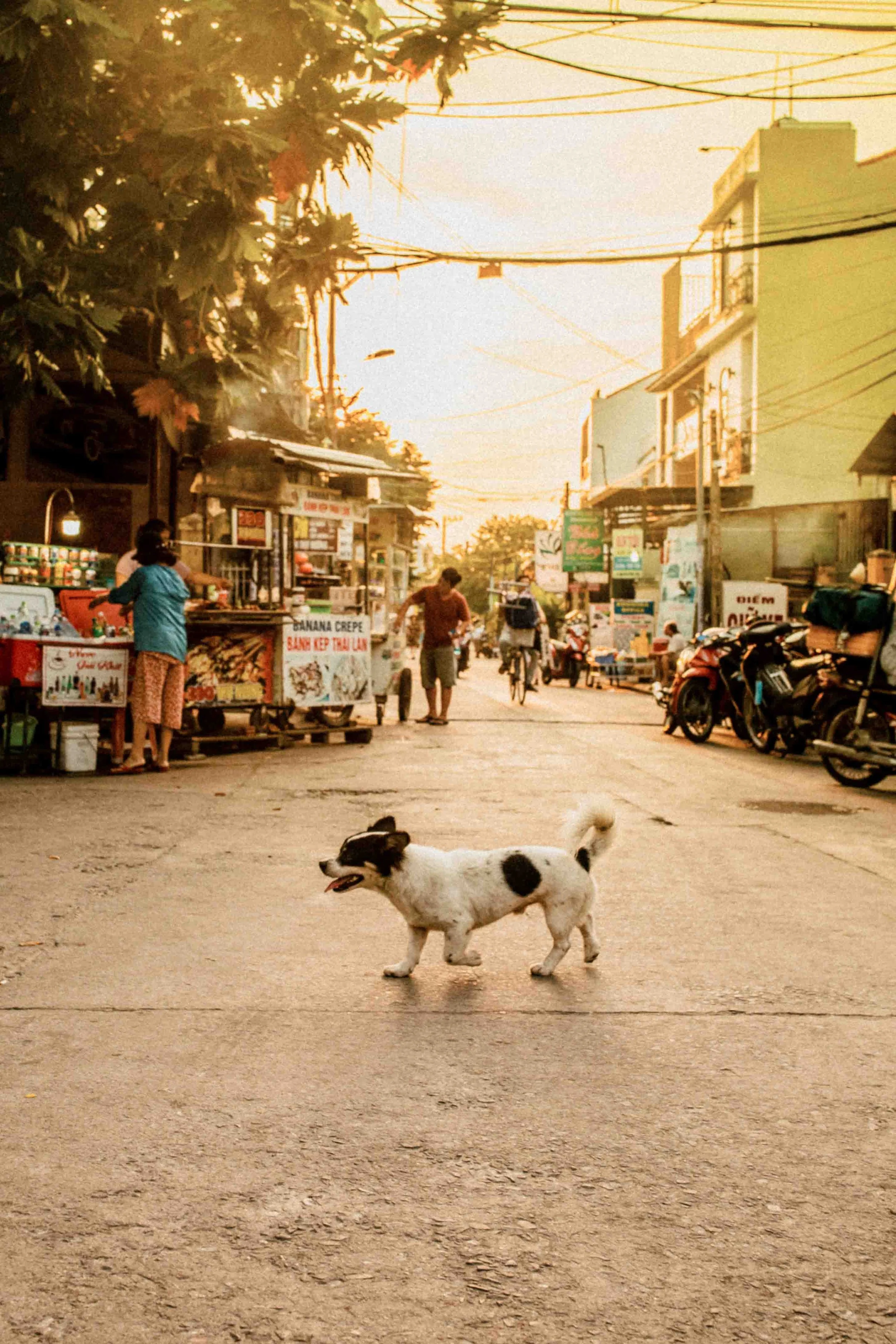 WEB_vietnam_2019_photography_by_dominey_flores-42.jpg