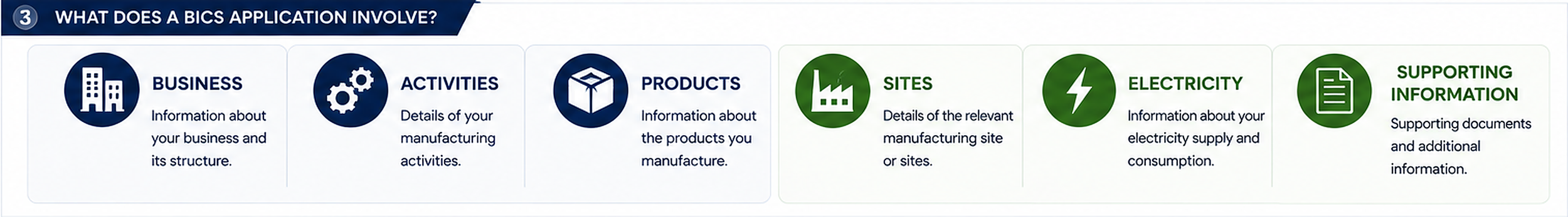 An infographic explaining what a BICS application involves. It includes icons and descriptions for Business, Activities, Products, Sites, Electricity, and Supporting Information.