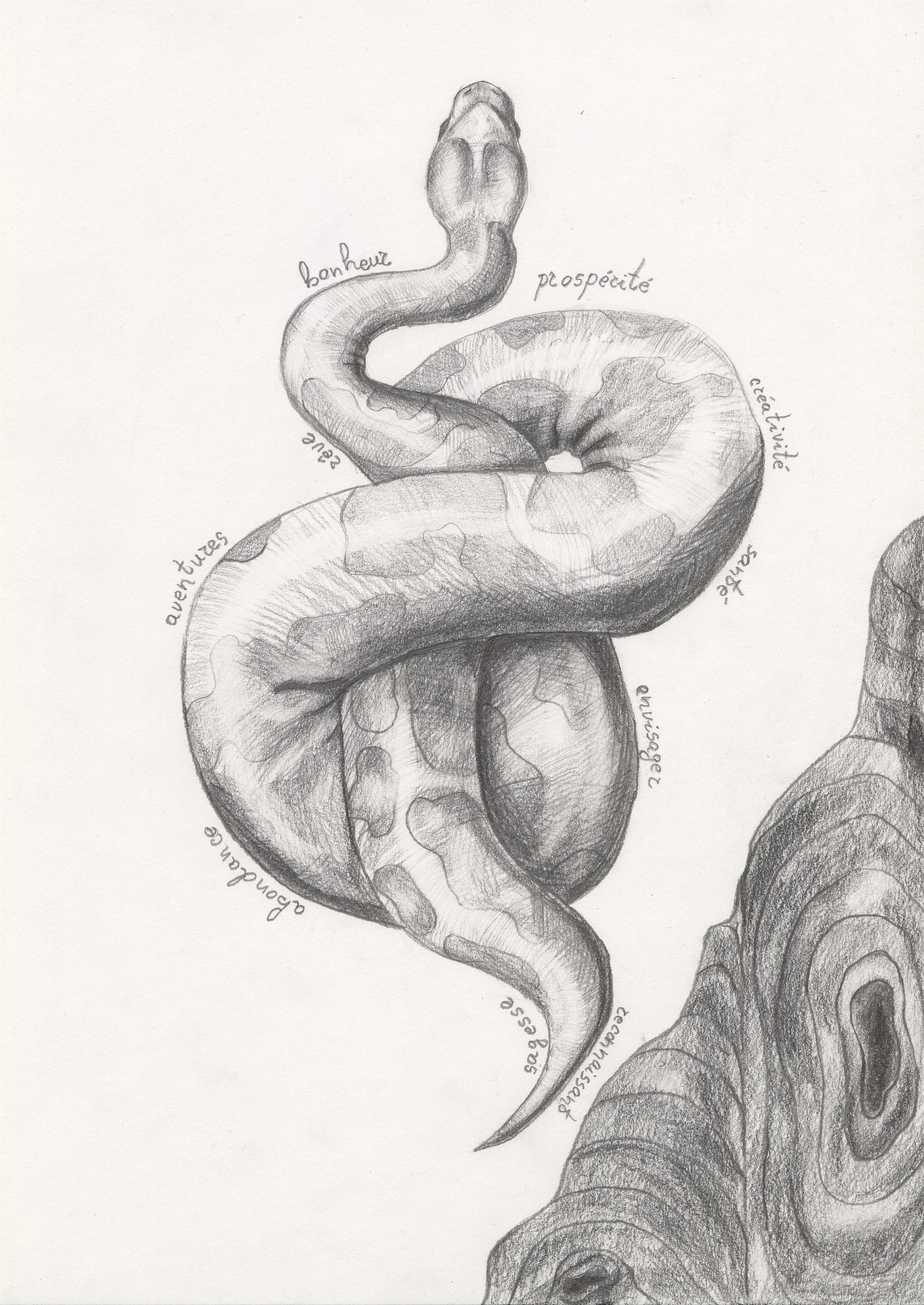 Untitled (9).jpg