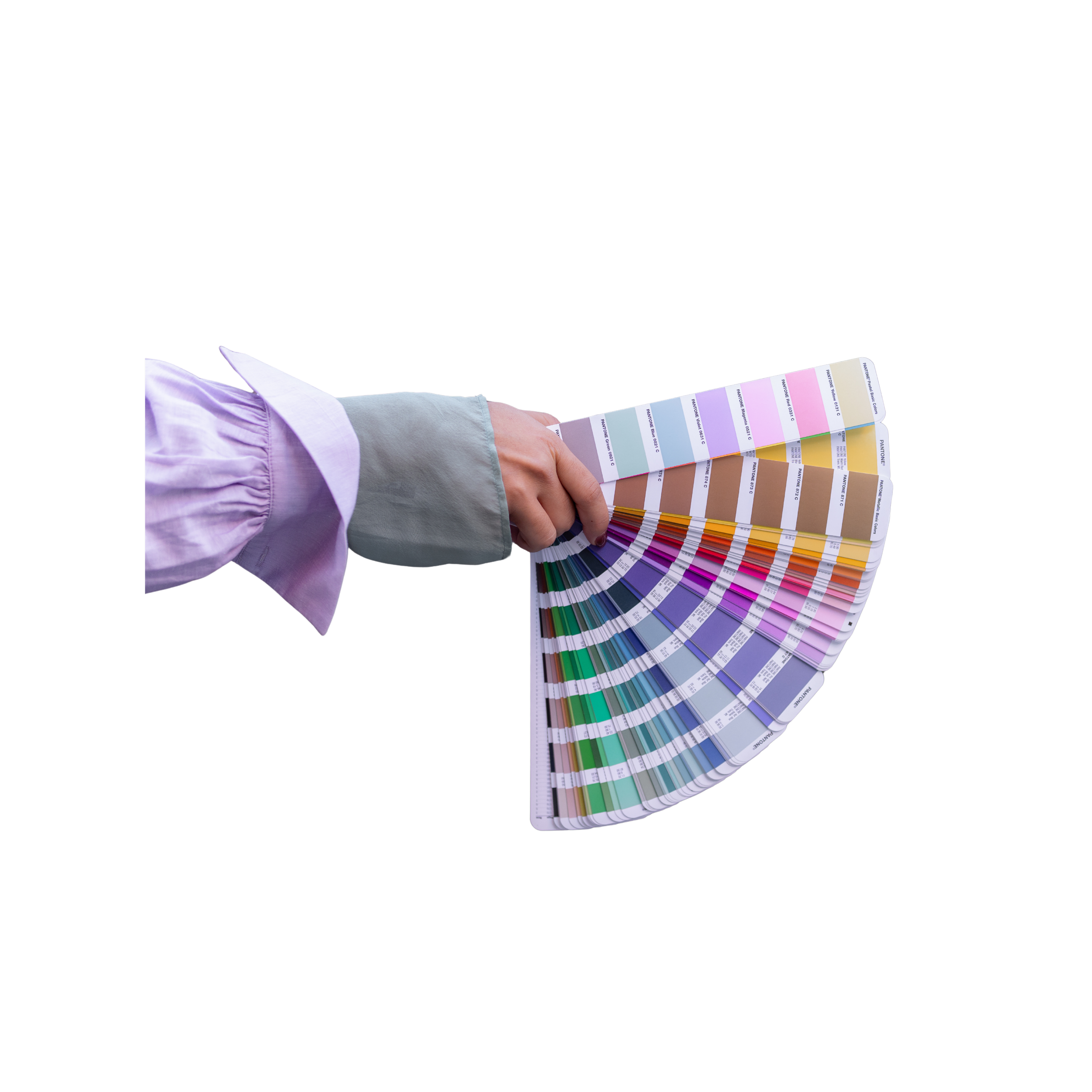 Hand holding a fan deck of paint swatches with multiple colors