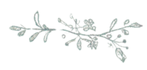 A decorative white floral and leafy design on a transparent background.