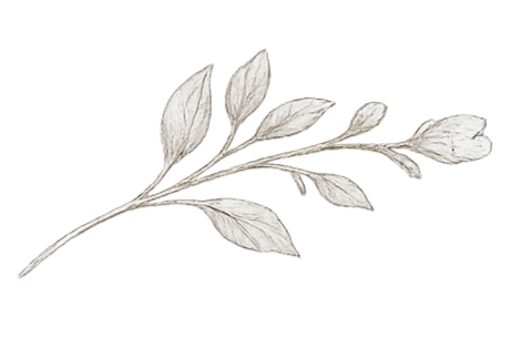 Silver-painted branch with elongated leaves.
