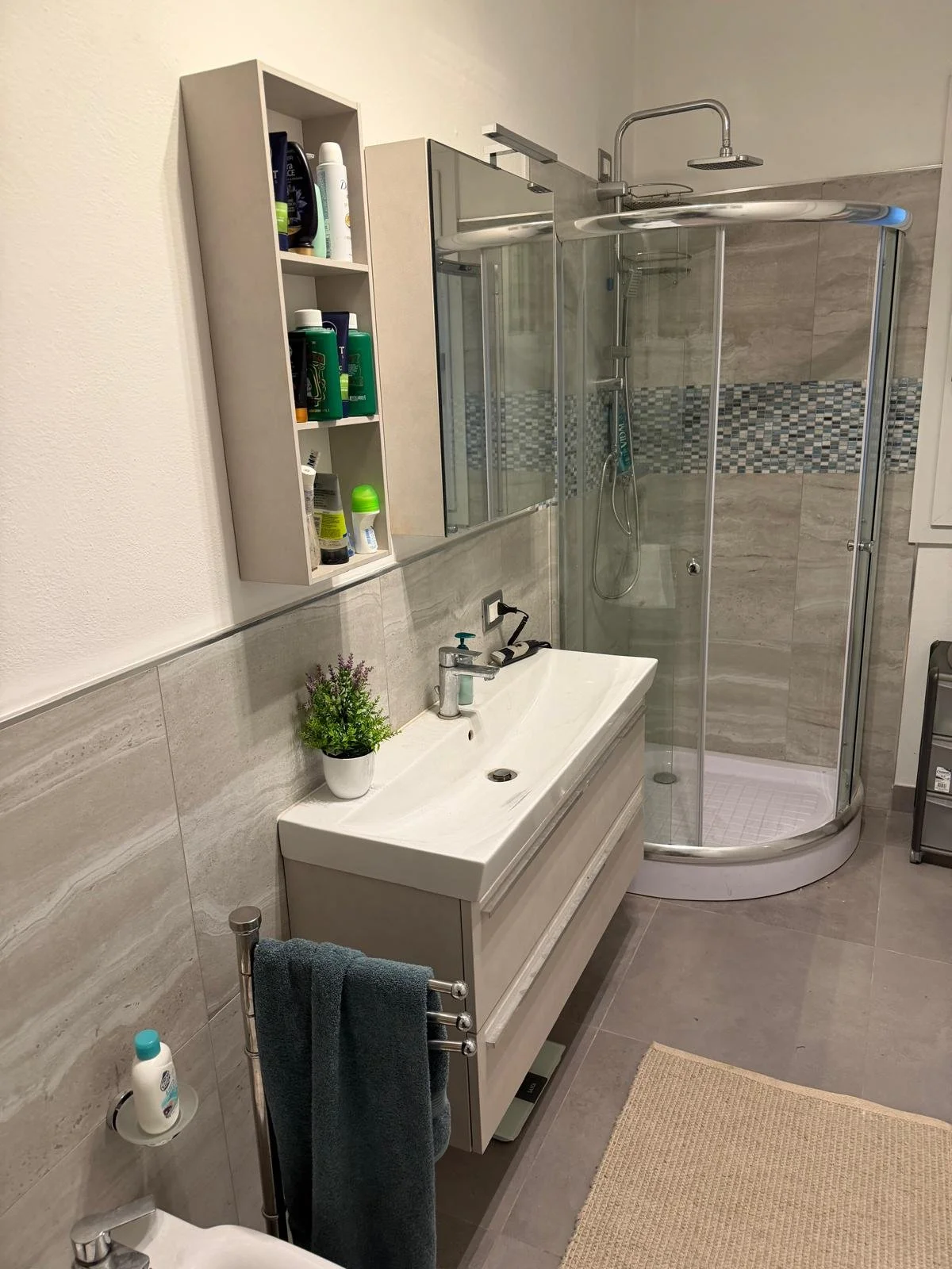 Bagno moderno con lavabo, specchio, armadietto, doccia con porta girevole, antena, pianta e asciugamano.