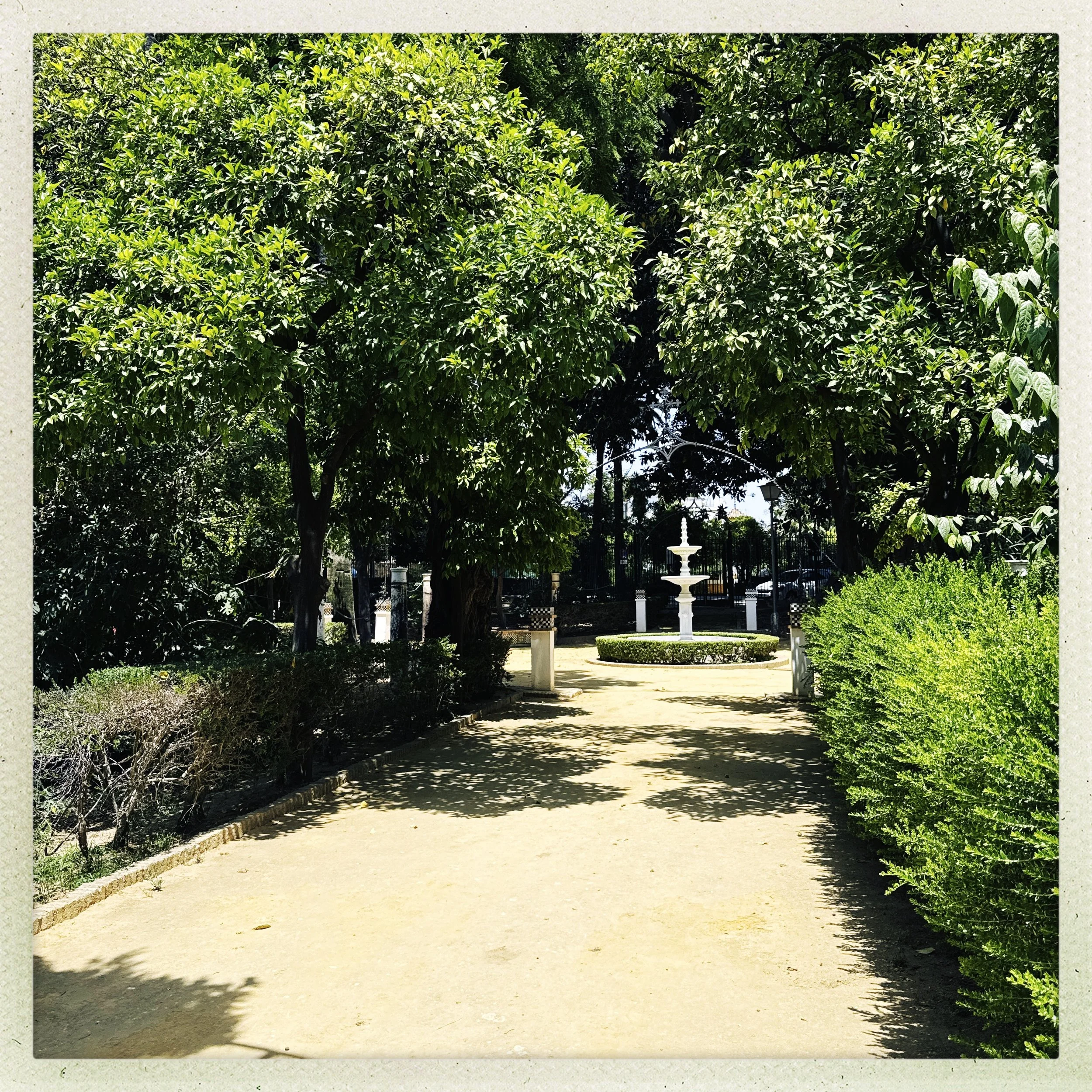 HipstamaticPhoto-771597910.023083.jpg