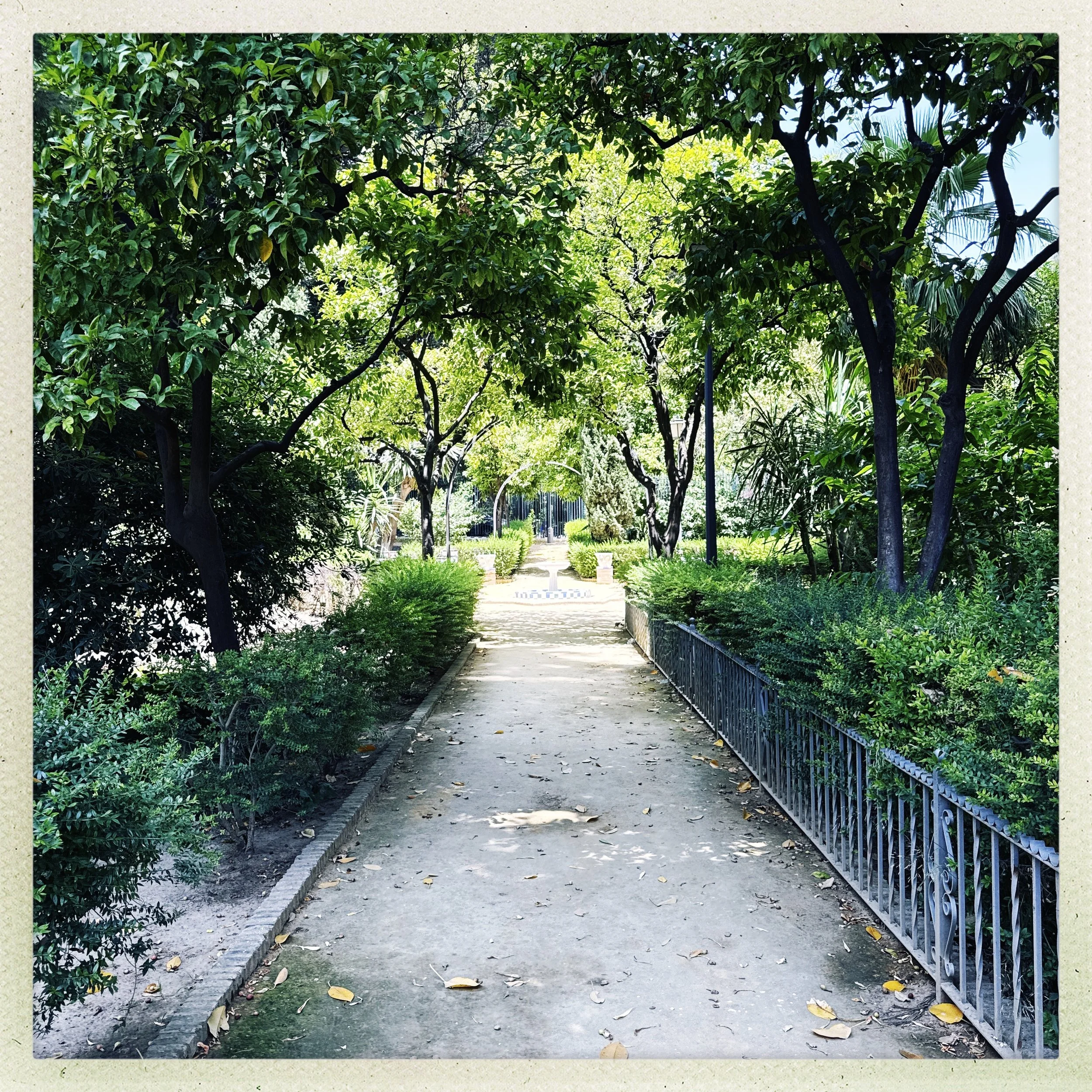 HipstamaticPhoto-771597930.080434.jpg
