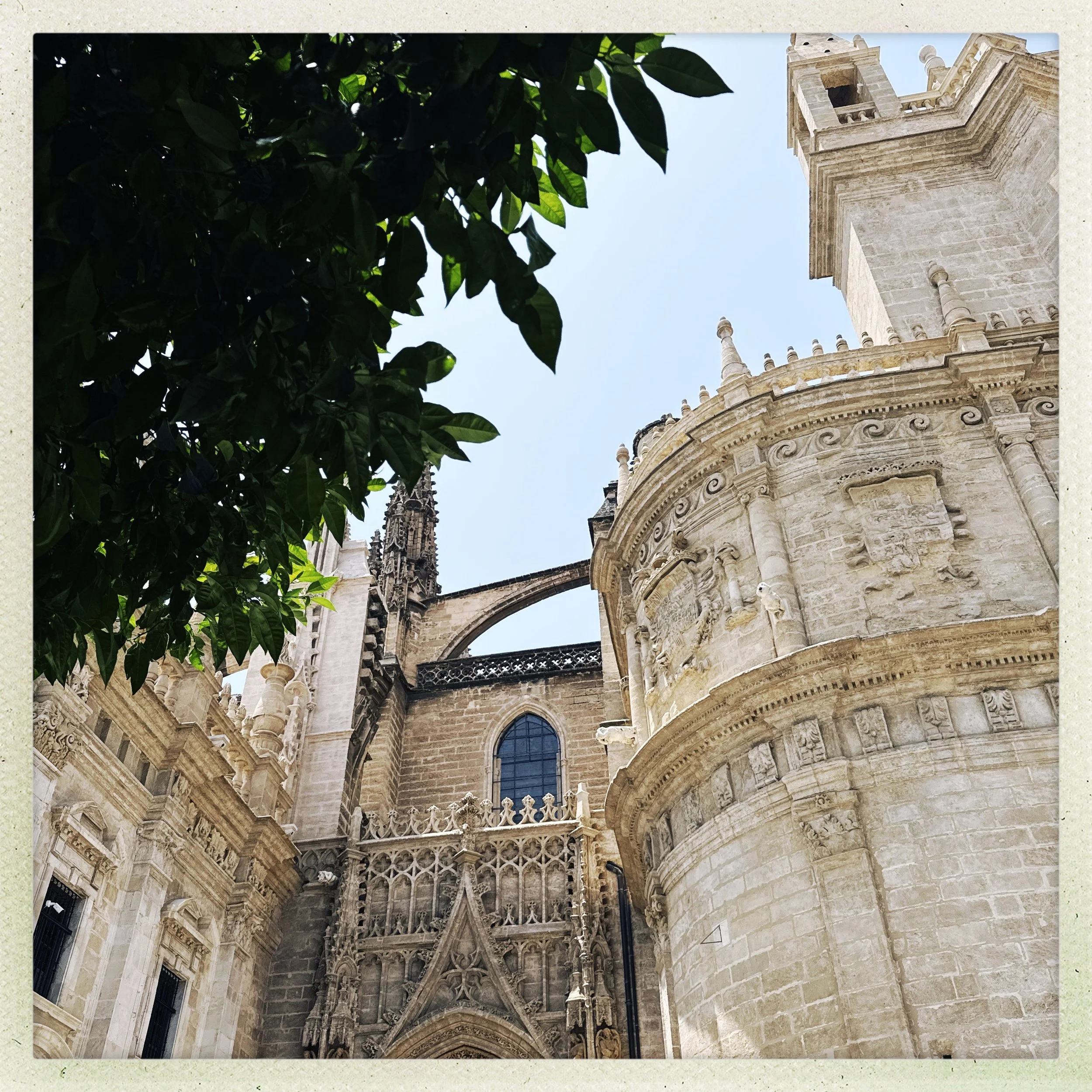 HipstamaticPhoto-771597320.220444.jpg
