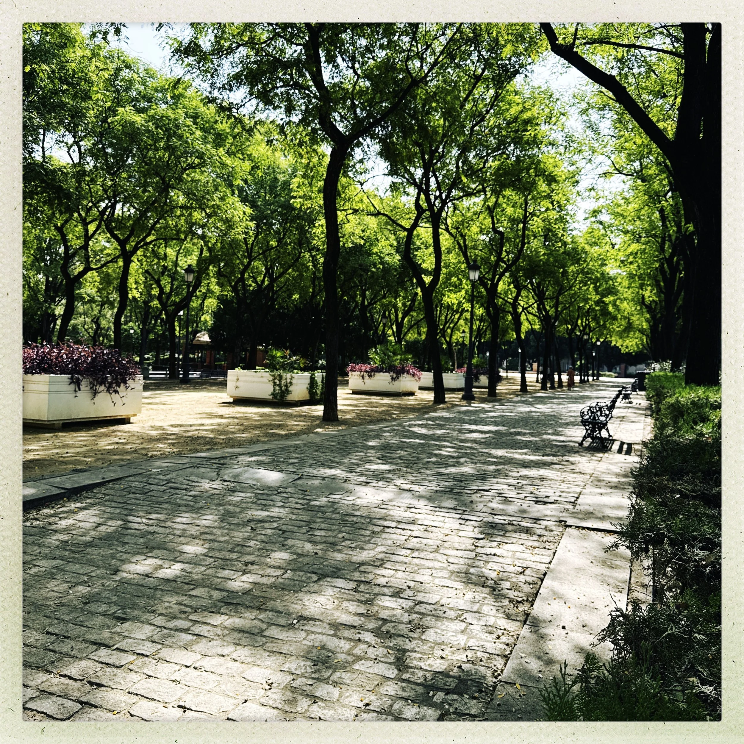 HipstamaticPhoto-771584772.119995.jpg